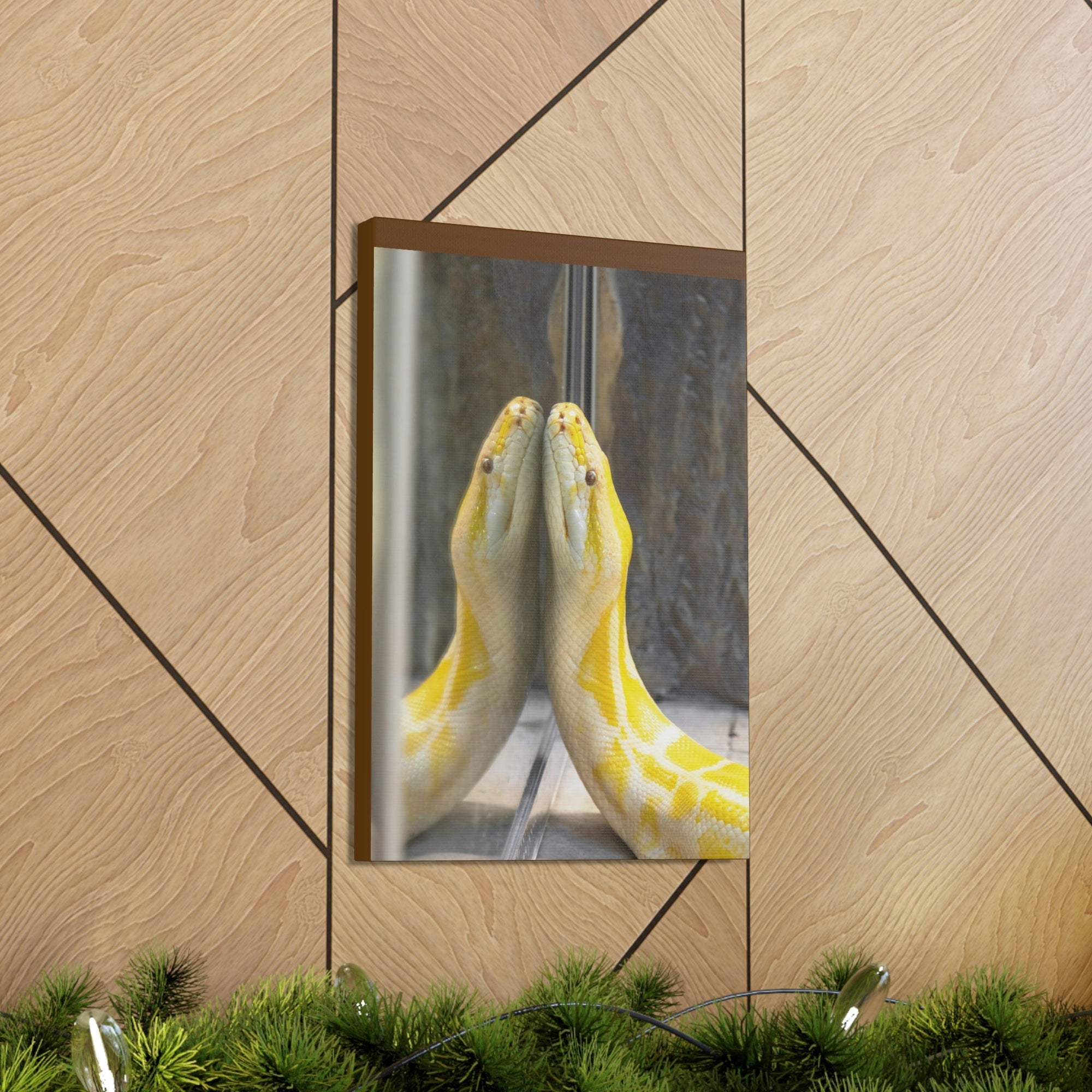 Funny Anaconda Silly Anaconda Inside Wall Art Ready to Hang Unframed-Express Your Love Gifts