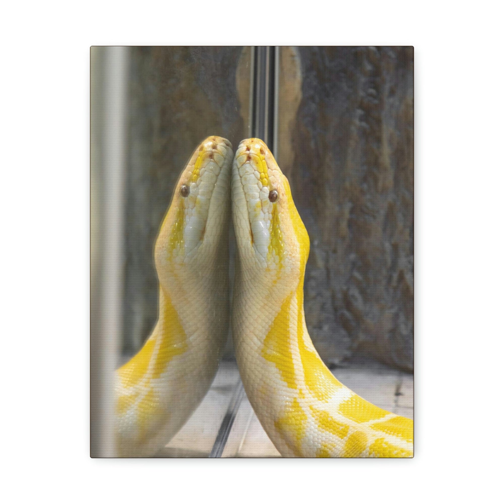 Funny Anaconda Silly Anaconda Inside Wall Art Ready to Hang Unframed-Express Your Love Gifts