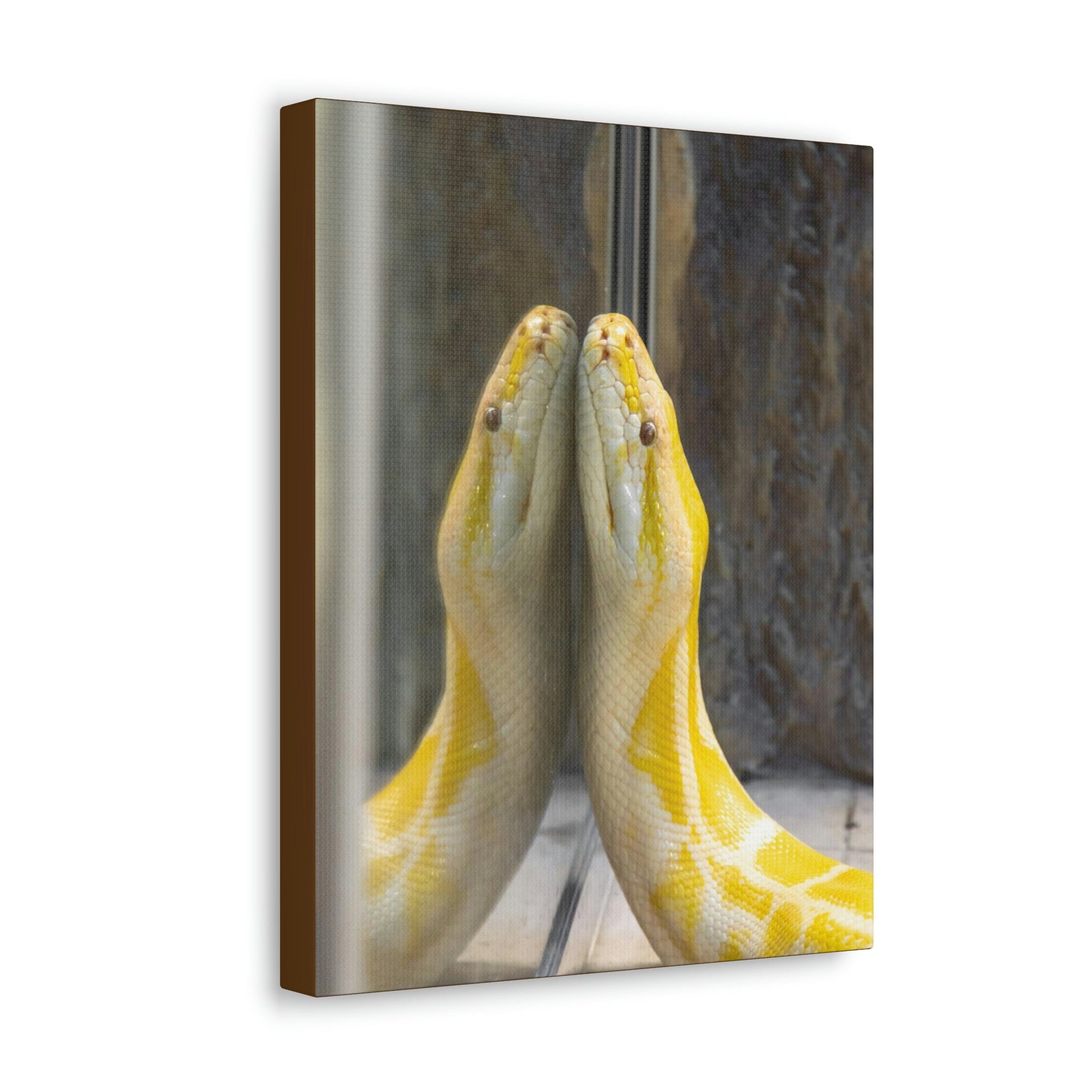 Funny Anaconda Silly Anaconda Inside Wall Art Ready to Hang Unframed-Express Your Love Gifts