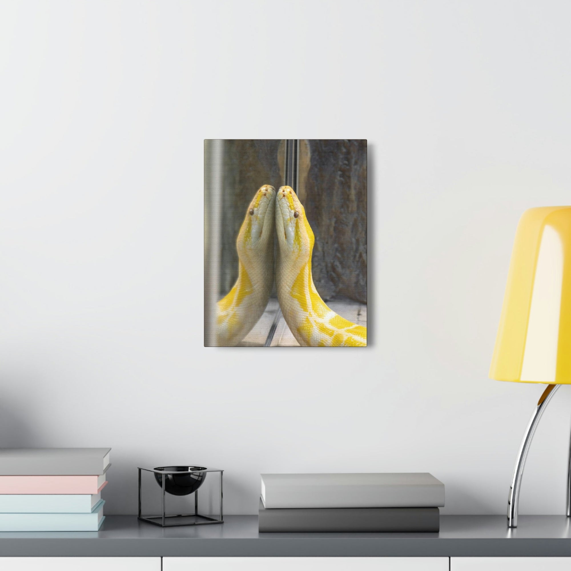 Funny Anaconda Silly Anaconda Inside Wall Art Ready to Hang Unframed-Express Your Love Gifts