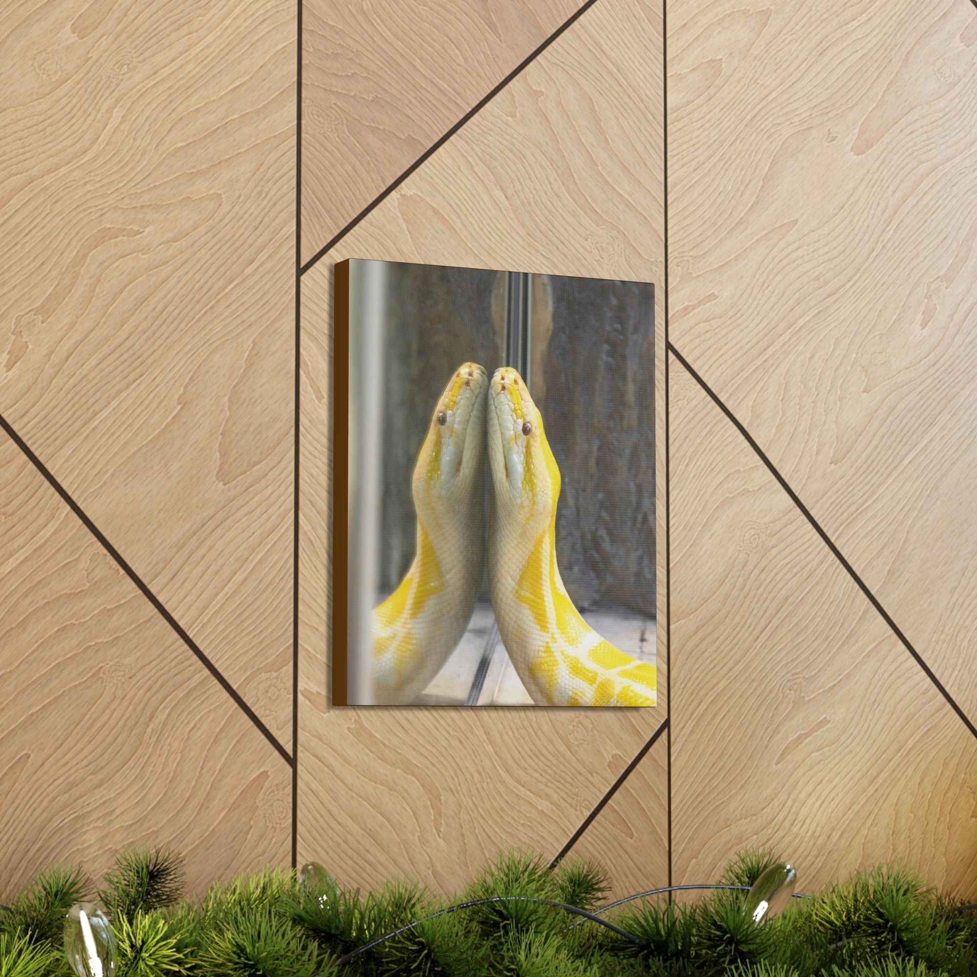 Funny Anaconda Silly Anaconda Inside Wall Art Ready to Hang Unframed-Express Your Love Gifts