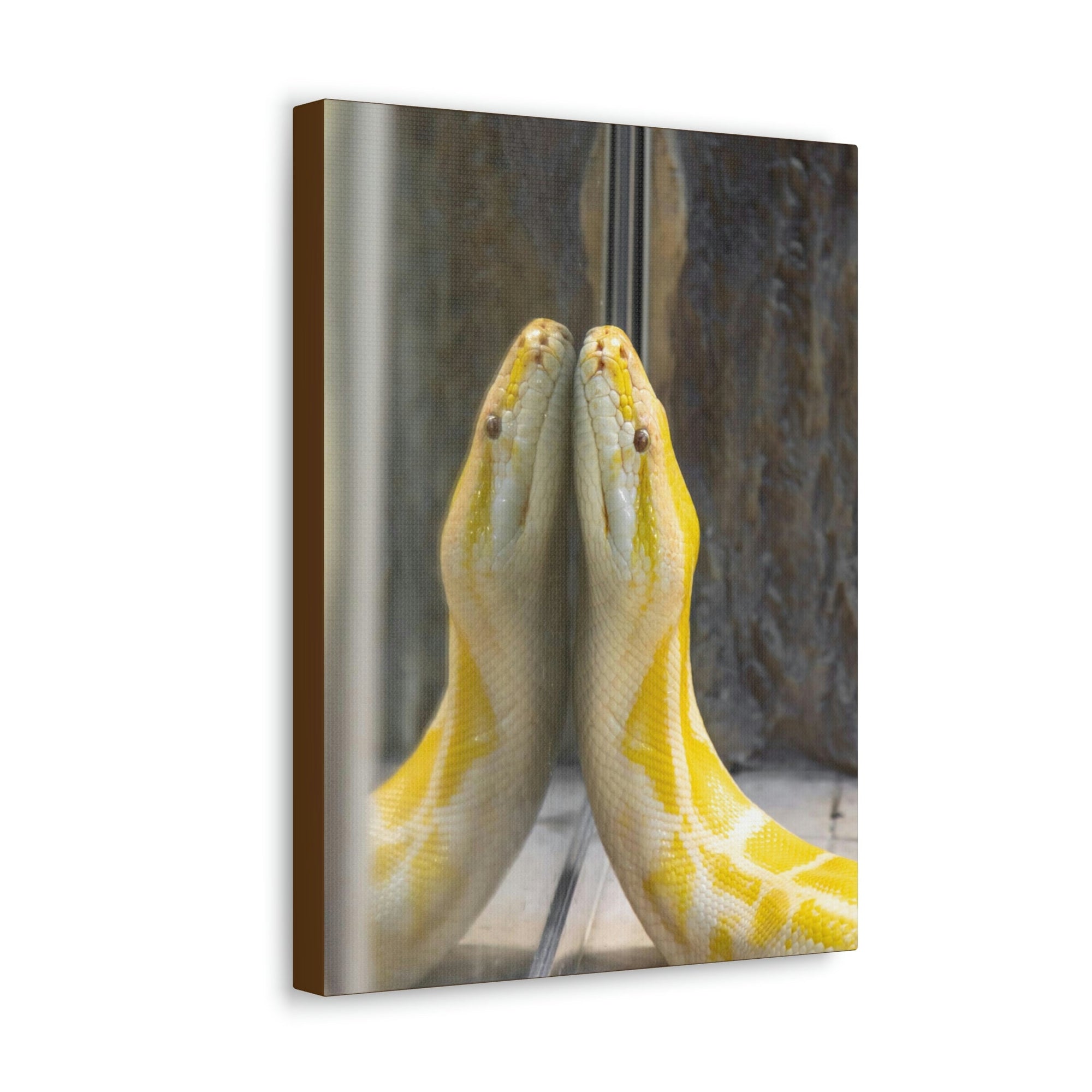 Funny Anaconda Silly Anaconda Inside Wall Art Ready to Hang Unframed-Express Your Love Gifts