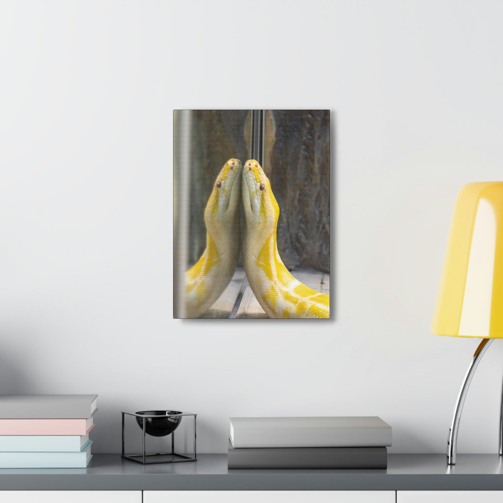 Funny Anaconda Silly Anaconda Inside Wall Art Ready to Hang Unframed-Express Your Love Gifts