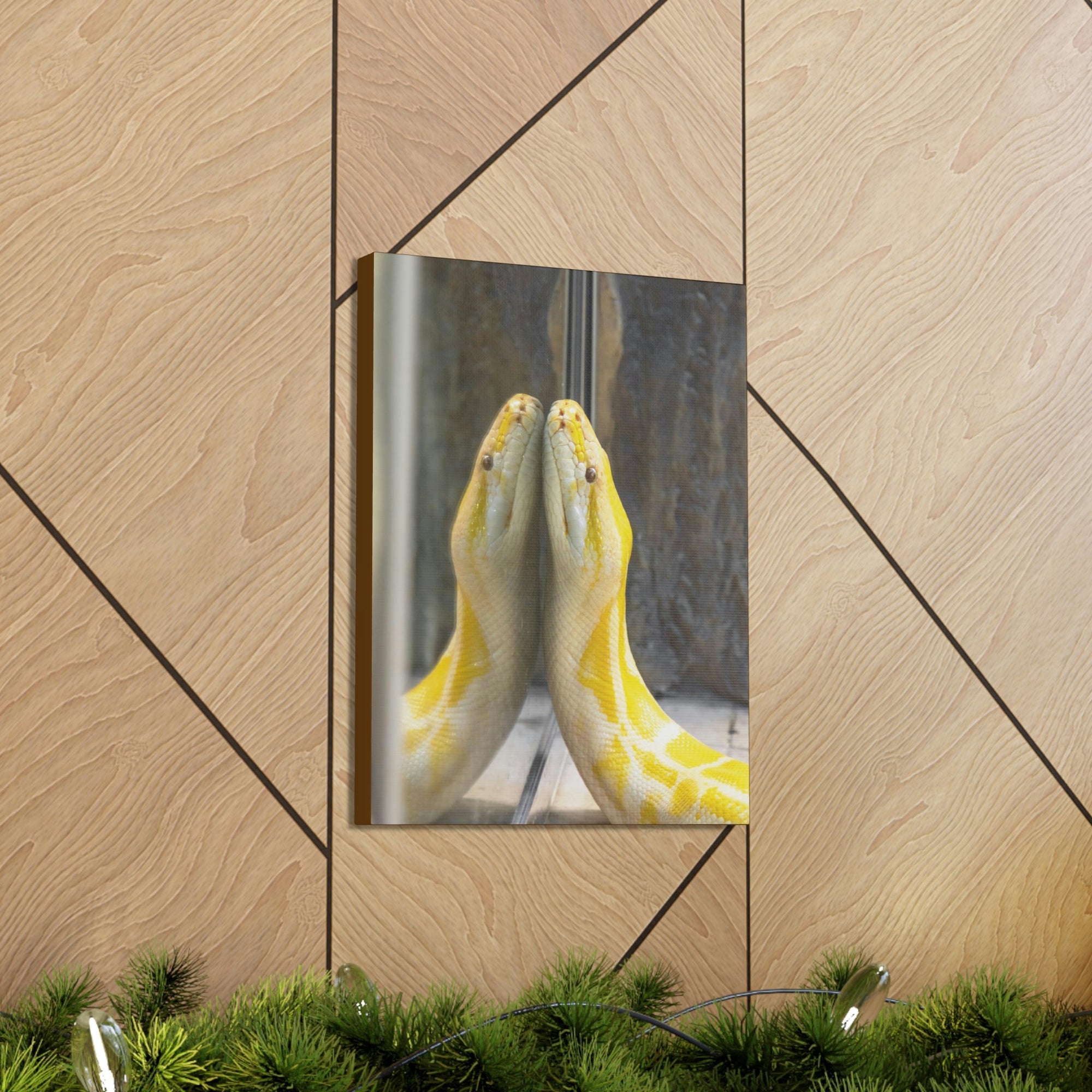 Funny Anaconda Silly Anaconda Inside Wall Art Ready to Hang Unframed-Express Your Love Gifts