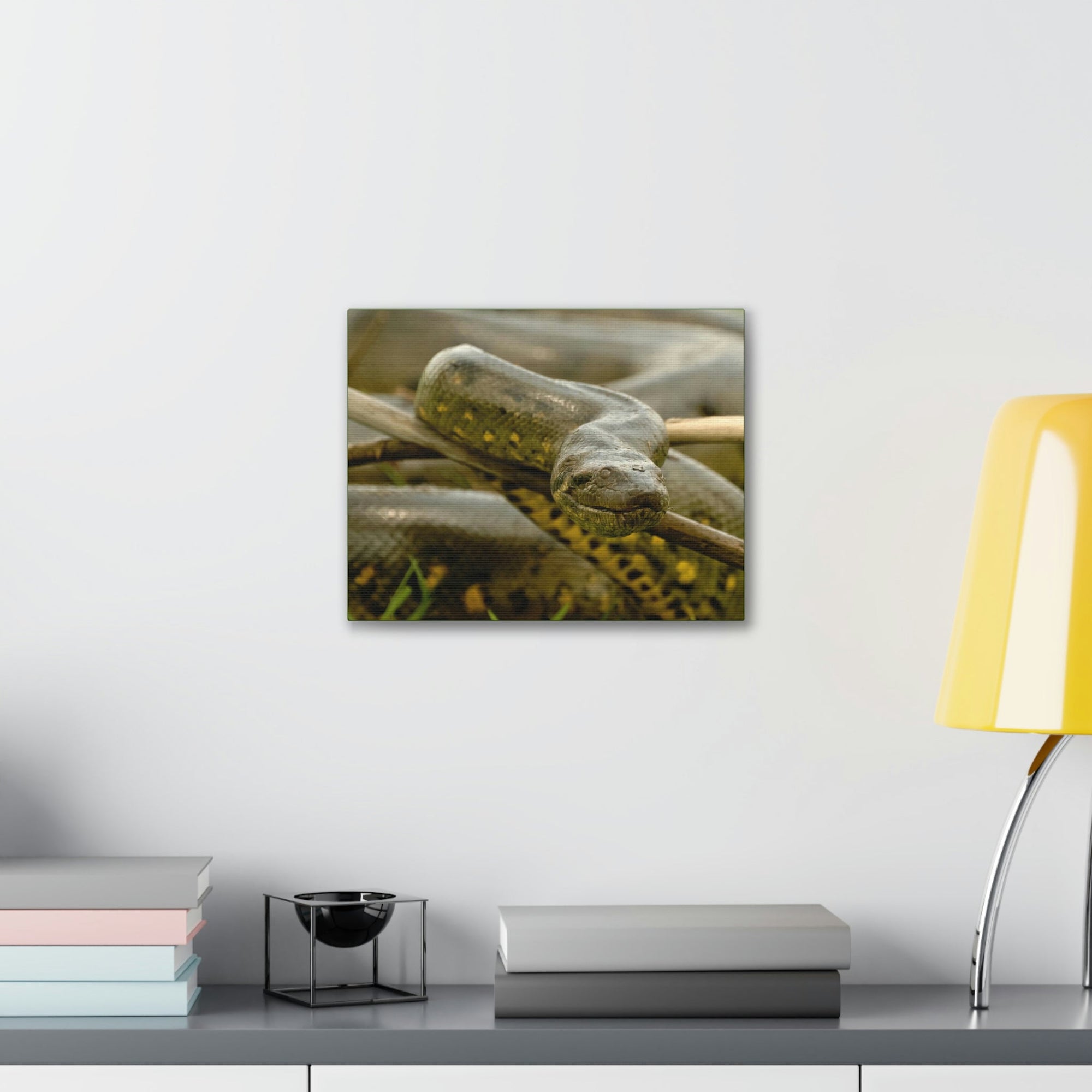 Funny Anaconda Silly Anaconda Outside Wall Art Ready to Hang Unframed-Express Your Love Gifts