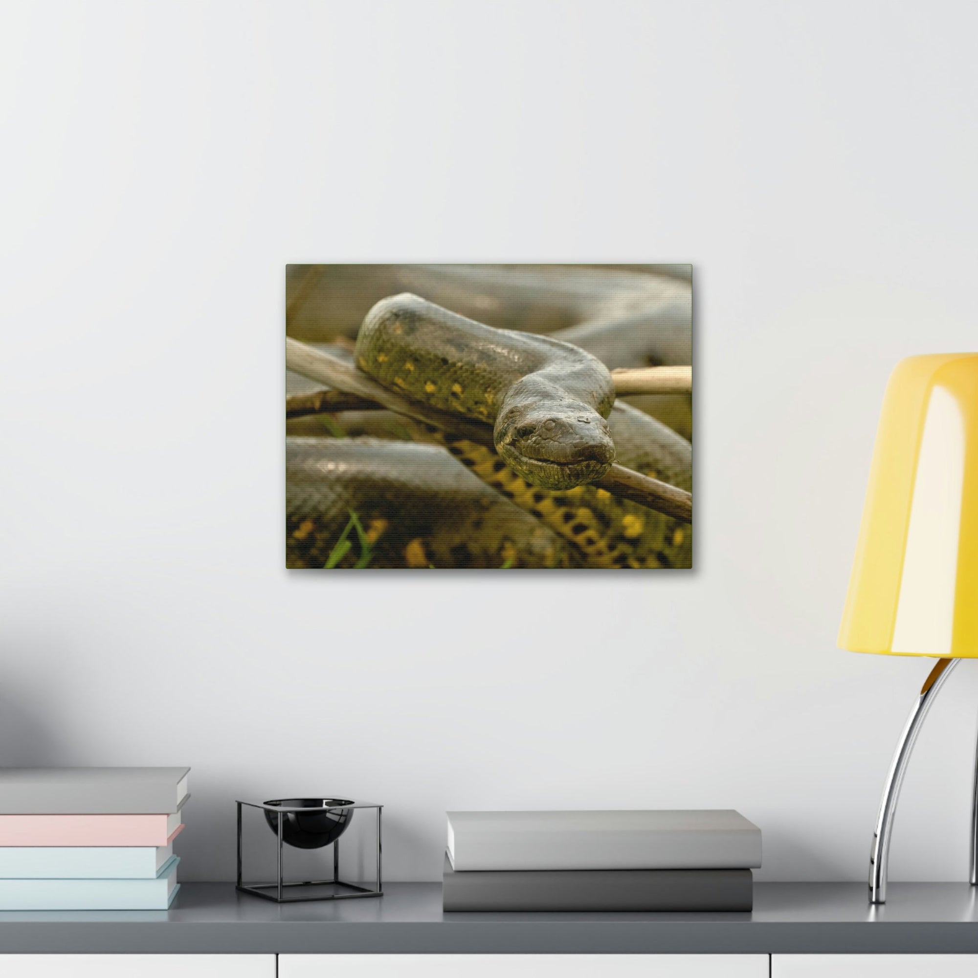 Funny Anaconda Silly Anaconda Outside Wall Art Ready to Hang Unframed-Express Your Love Gifts