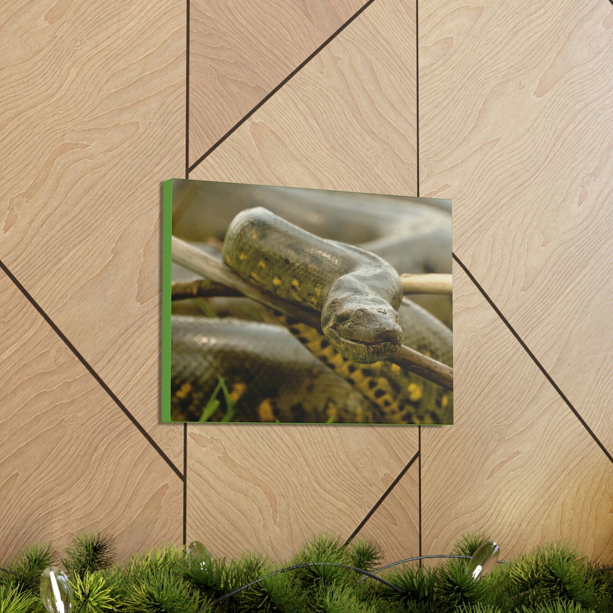 Funny Anaconda Silly Anaconda Outside Wall Art Ready to Hang Unframed-Express Your Love Gifts