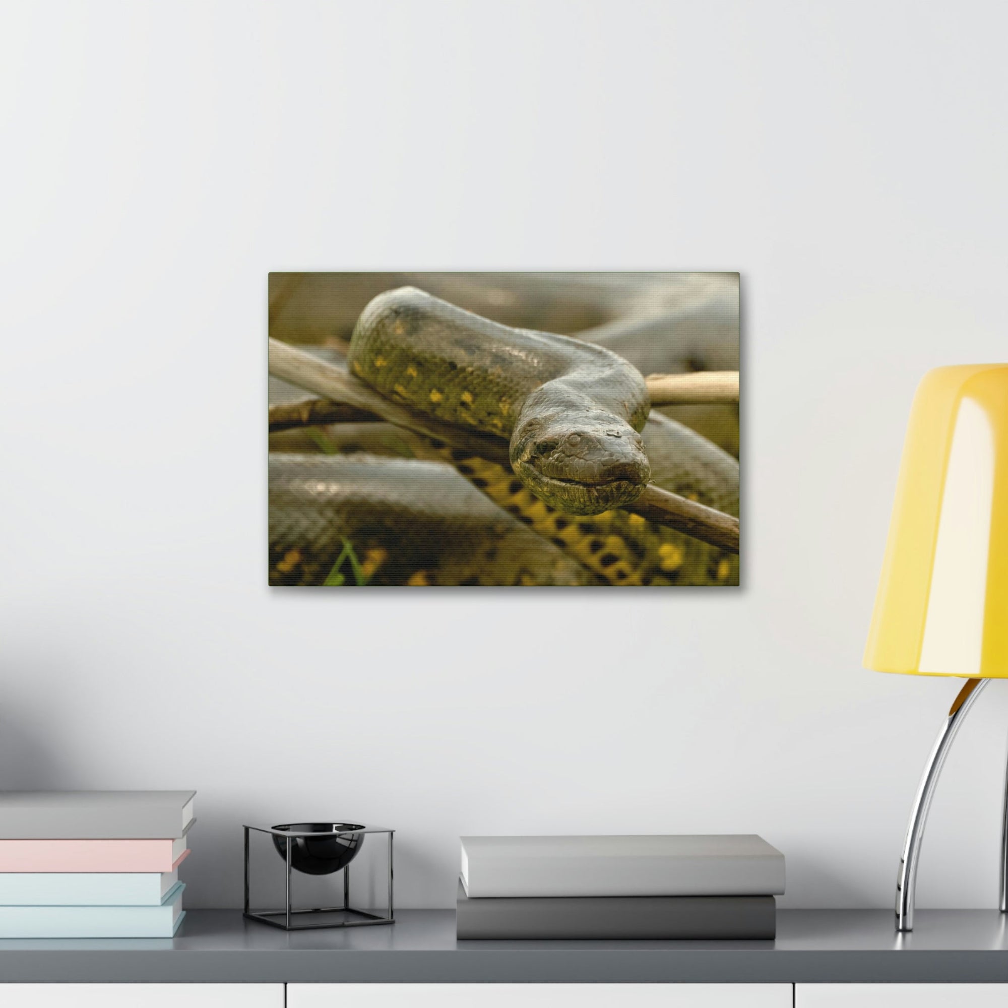 Funny Anaconda Silly Anaconda Outside Wall Art Ready to Hang Unframed-Express Your Love Gifts