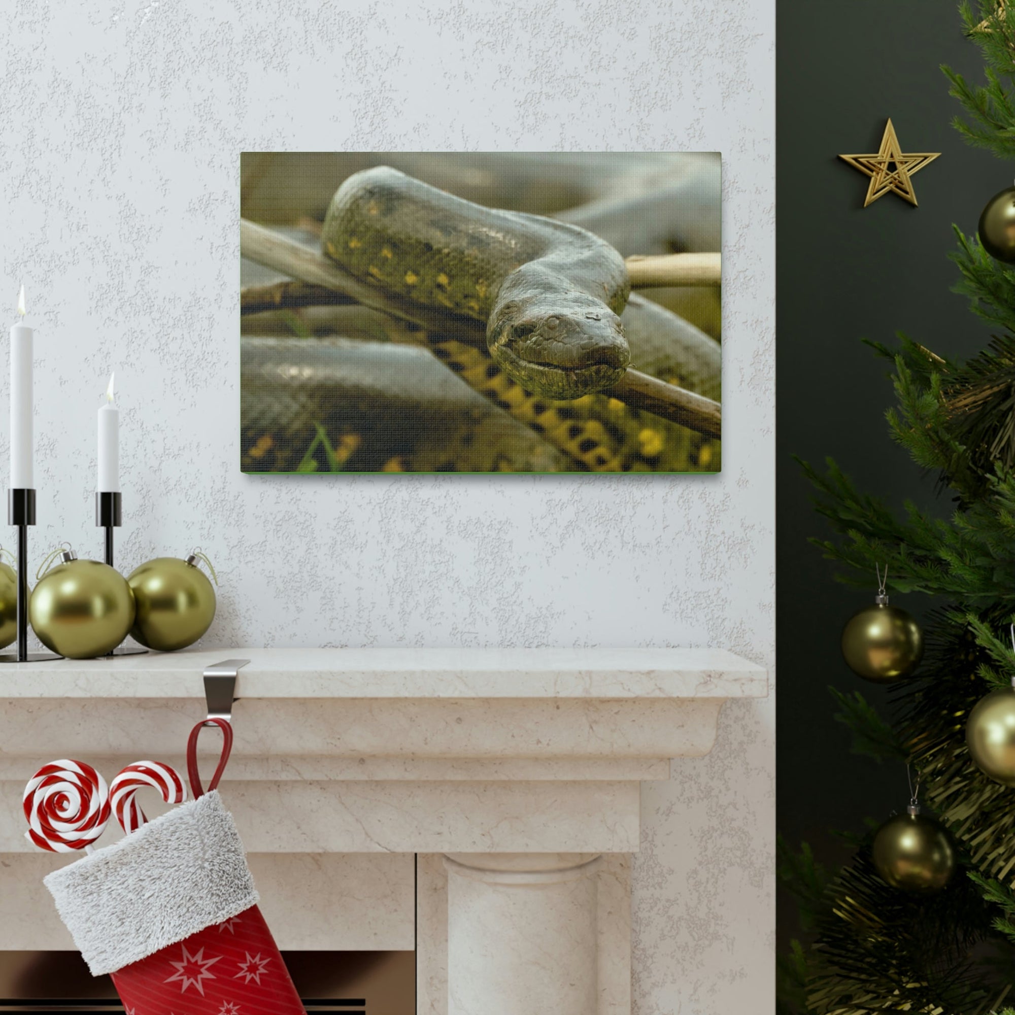 Funny Anaconda Silly Anaconda Outside Wall Art Ready to Hang Unframed-Express Your Love Gifts