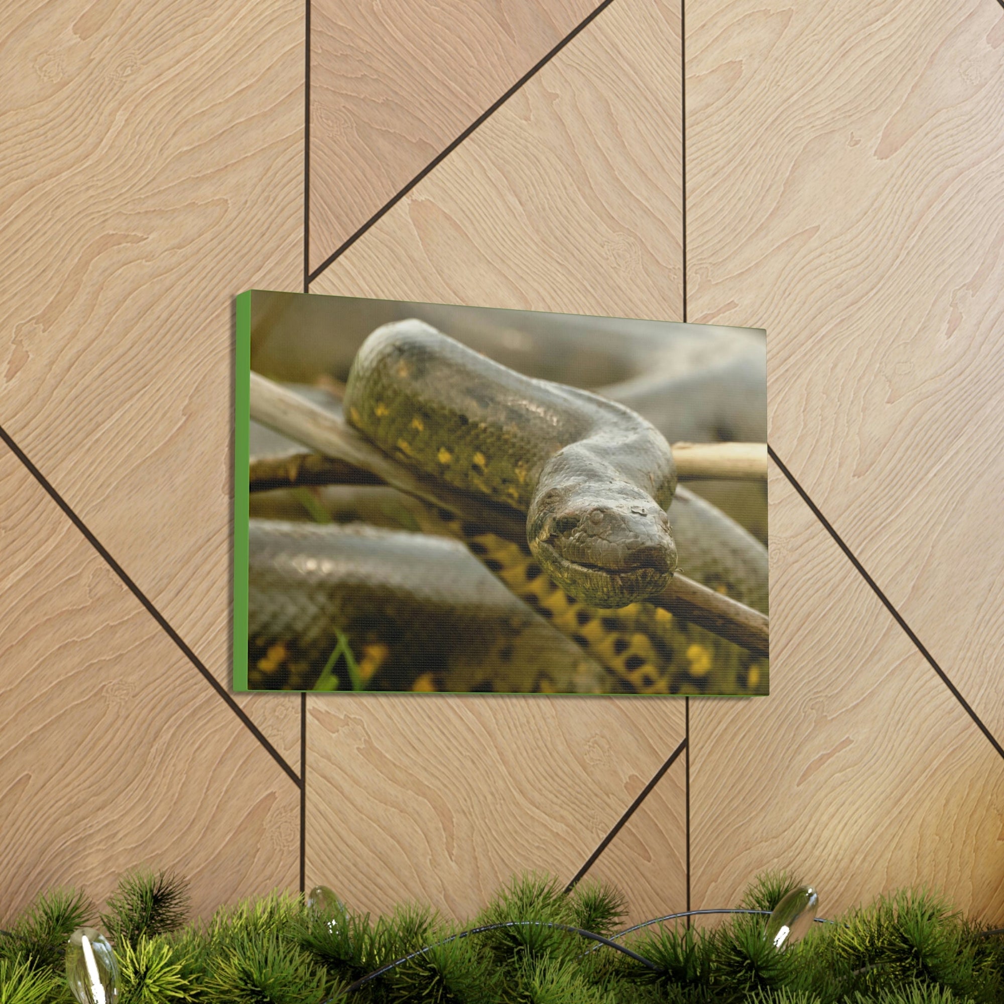 Funny Anaconda Silly Anaconda Outside Wall Art Ready to Hang Unframed-Express Your Love Gifts