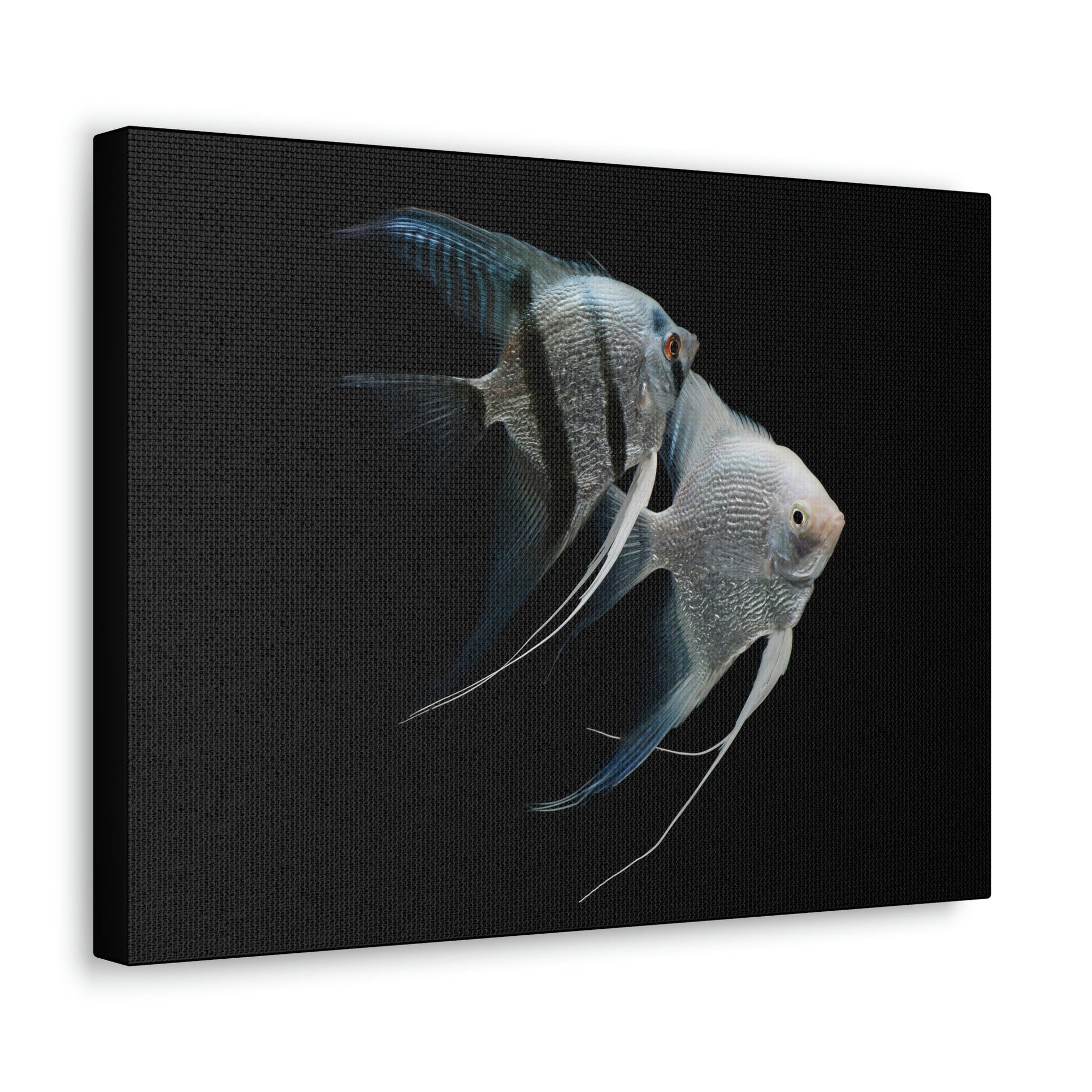 Funny Angel Fish Silly Angel Fish Couple Wall Art Ready to Hang Unframed-Express Your Love Gifts