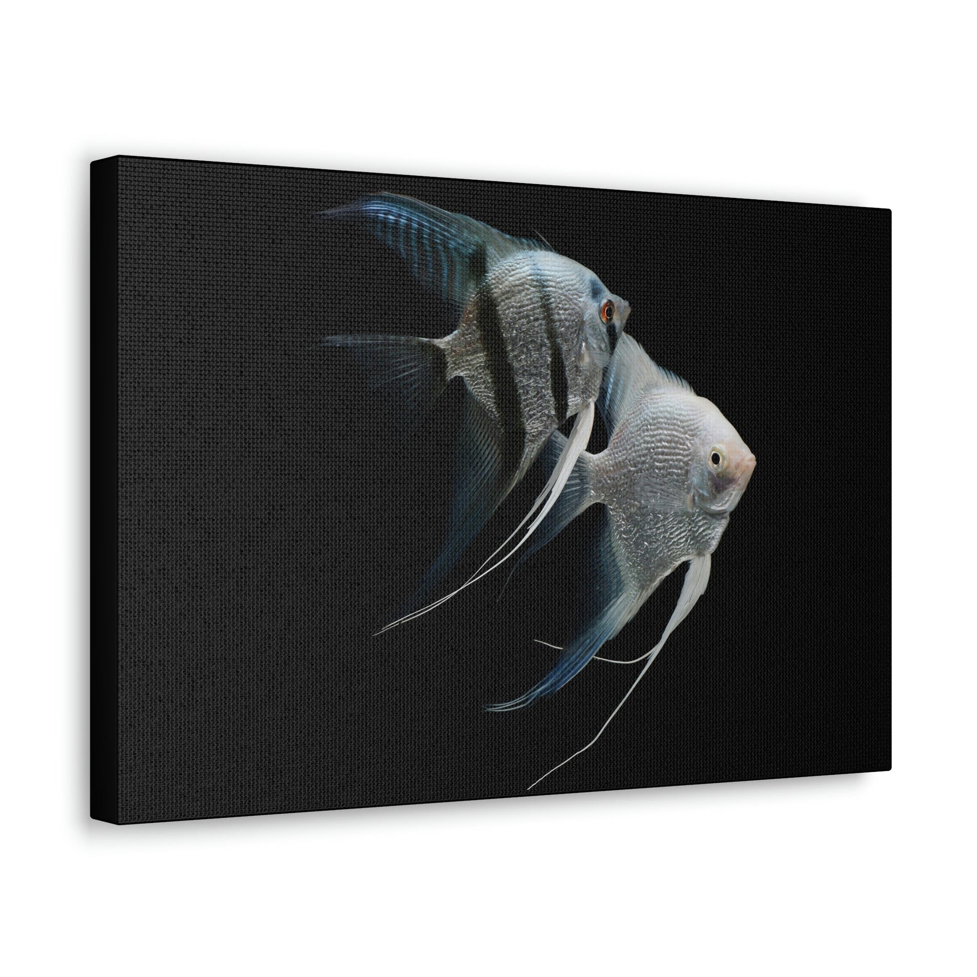 Funny Angel Fish Silly Angel Fish Couple Wall Art Ready to Hang Unframed-Express Your Love Gifts