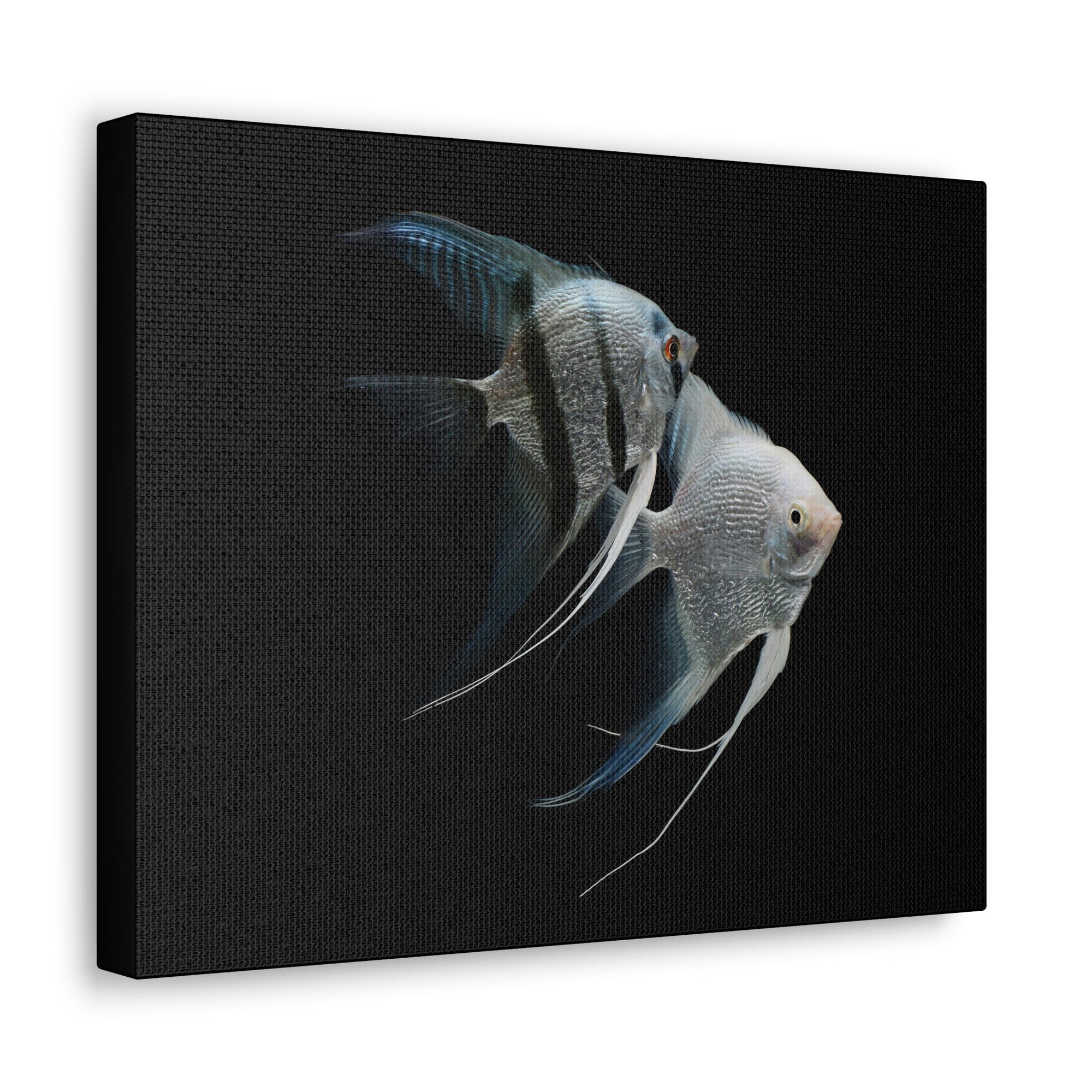 Funny Angel Fish Silly Angel Fish Couple Wall Art Ready to Hang Unframed-Express Your Love Gifts