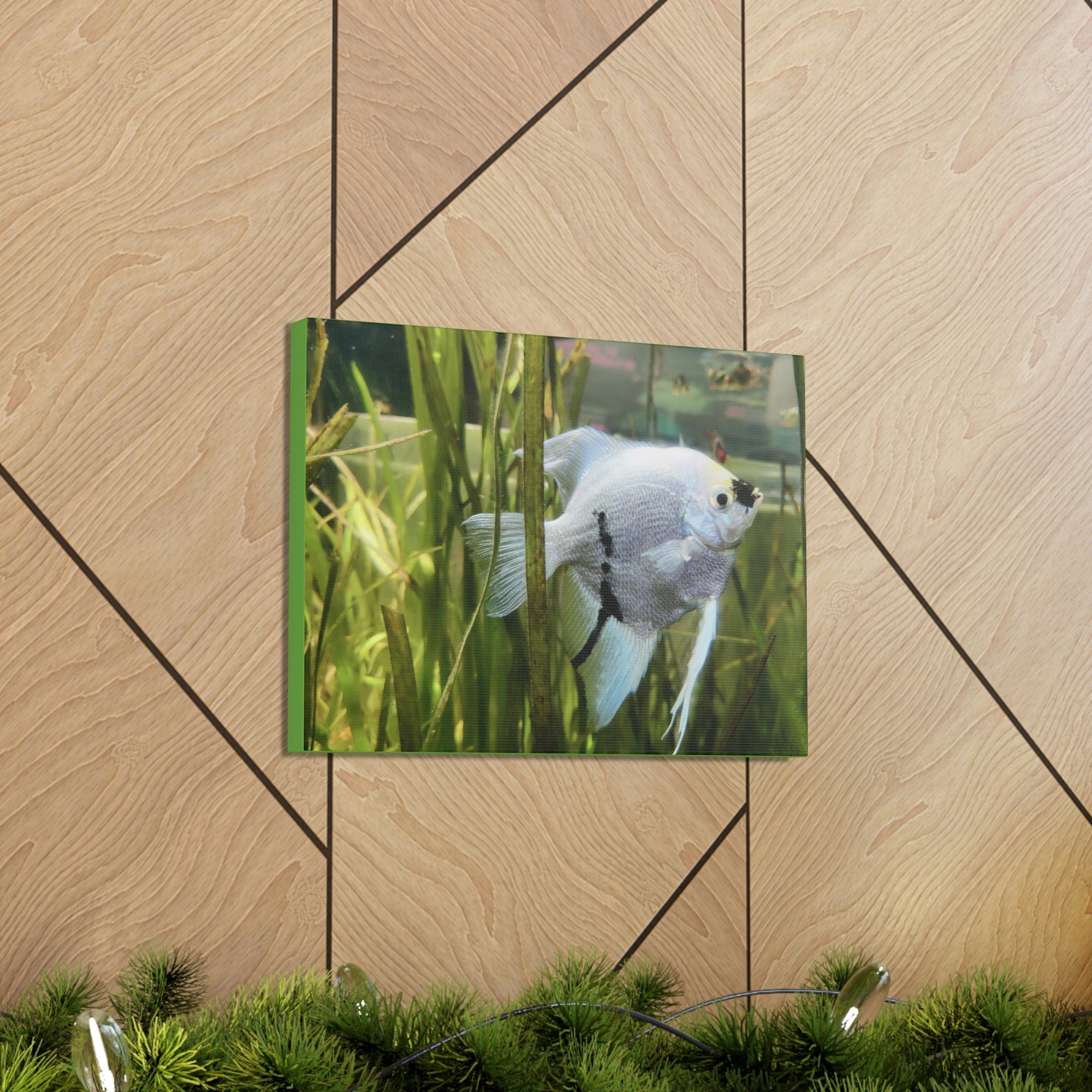 Funny Angel Fish Silly Angel Fish Inside Wall Art Ready to Hang Unframed-Express Your Love Gifts