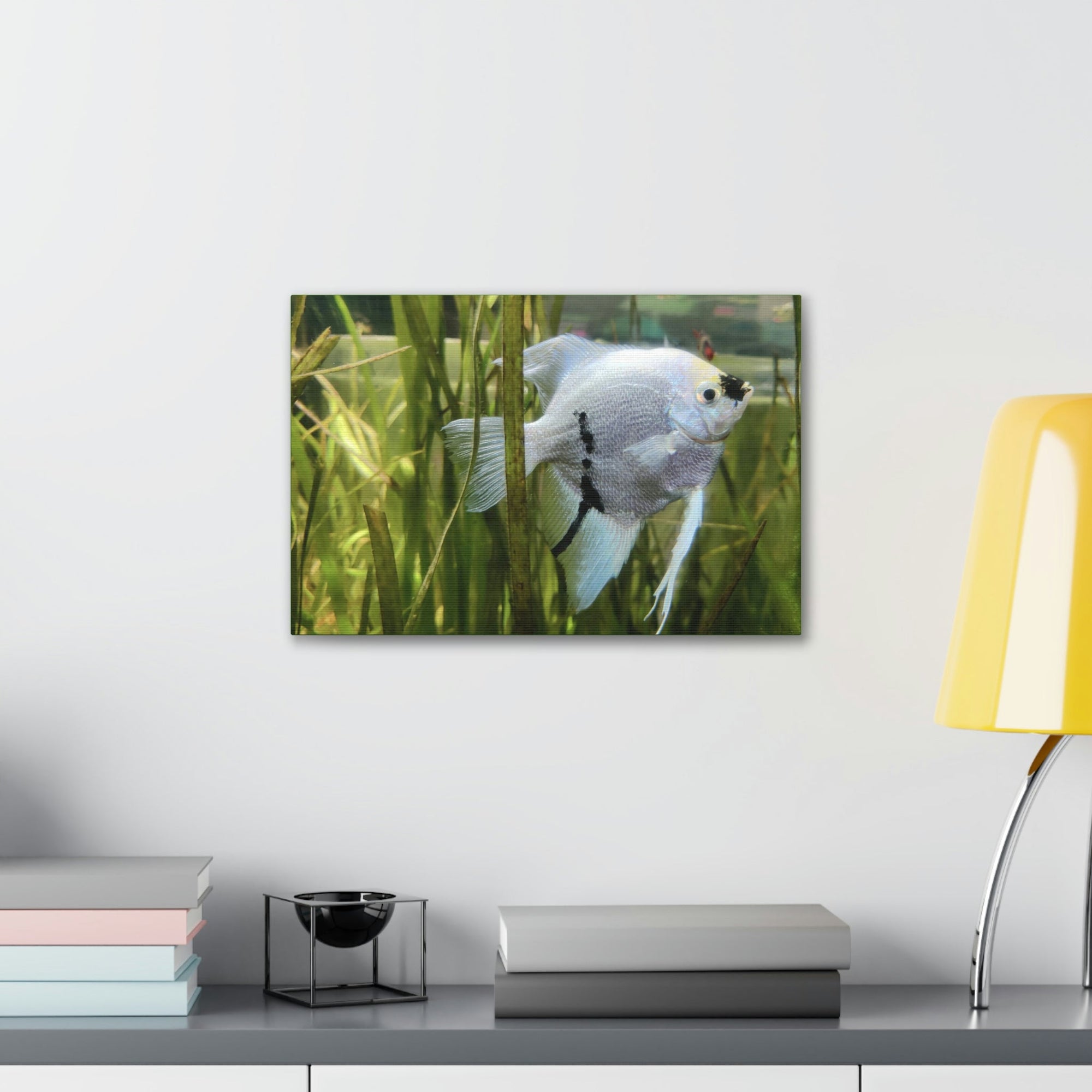 Funny Angel Fish Silly Angel Fish Inside Wall Art Ready to Hang Unframed-Express Your Love Gifts