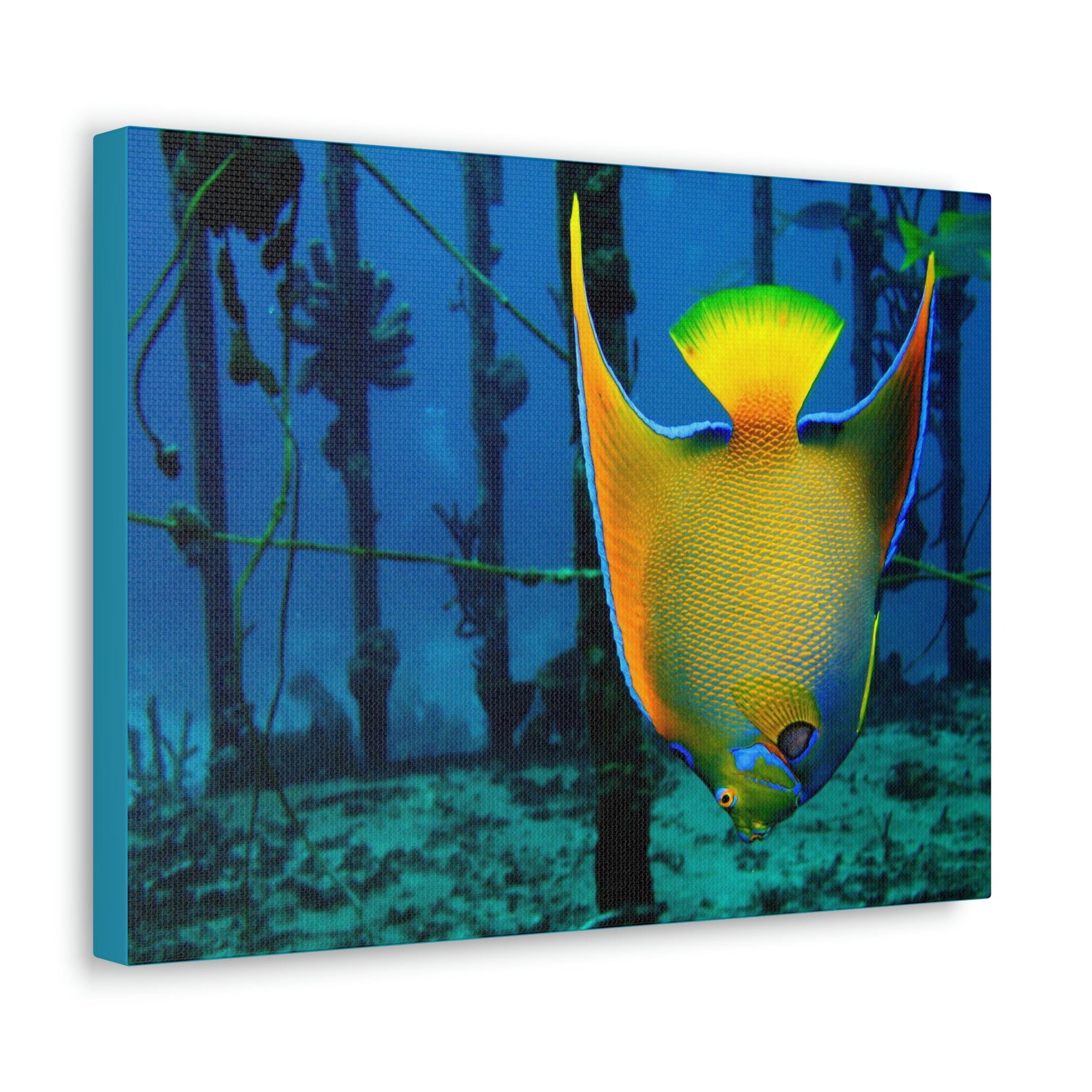 Funny Angel Fish Silly Angel Fish Outside Wall Art Ready to Hang Unframed-Express Your Love Gifts