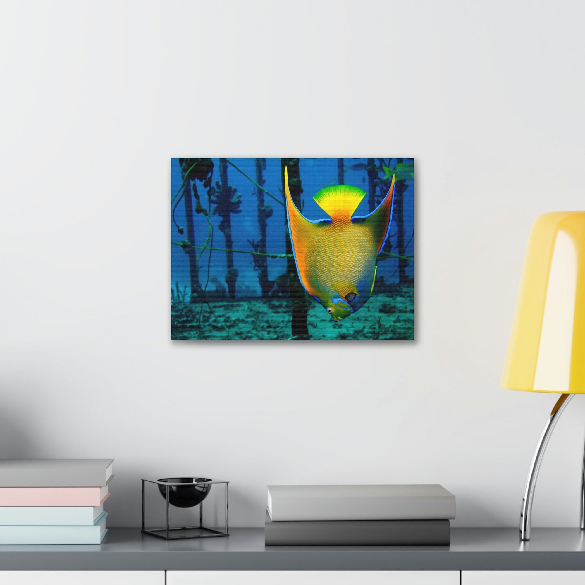 Funny Angel Fish Silly Angel Fish Outside Wall Art Ready to Hang Unframed-Express Your Love Gifts