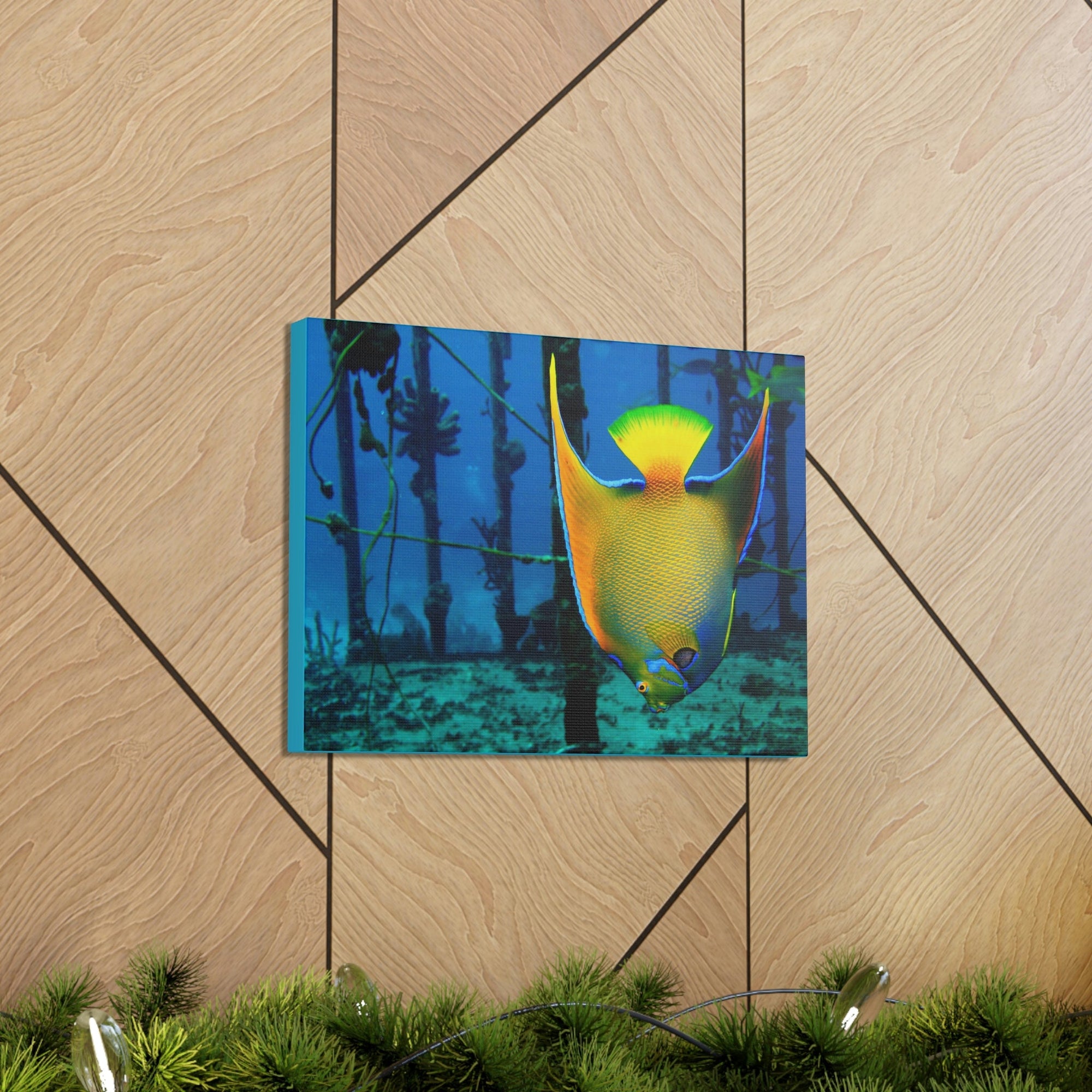 Funny Angel Fish Silly Angel Fish Outside Wall Art Ready to Hang Unframed-Express Your Love Gifts