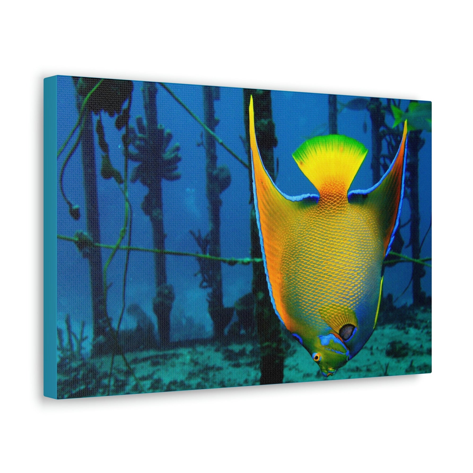 Funny Angel Fish Silly Angel Fish Outside Wall Art Ready to Hang Unframed-Express Your Love Gifts