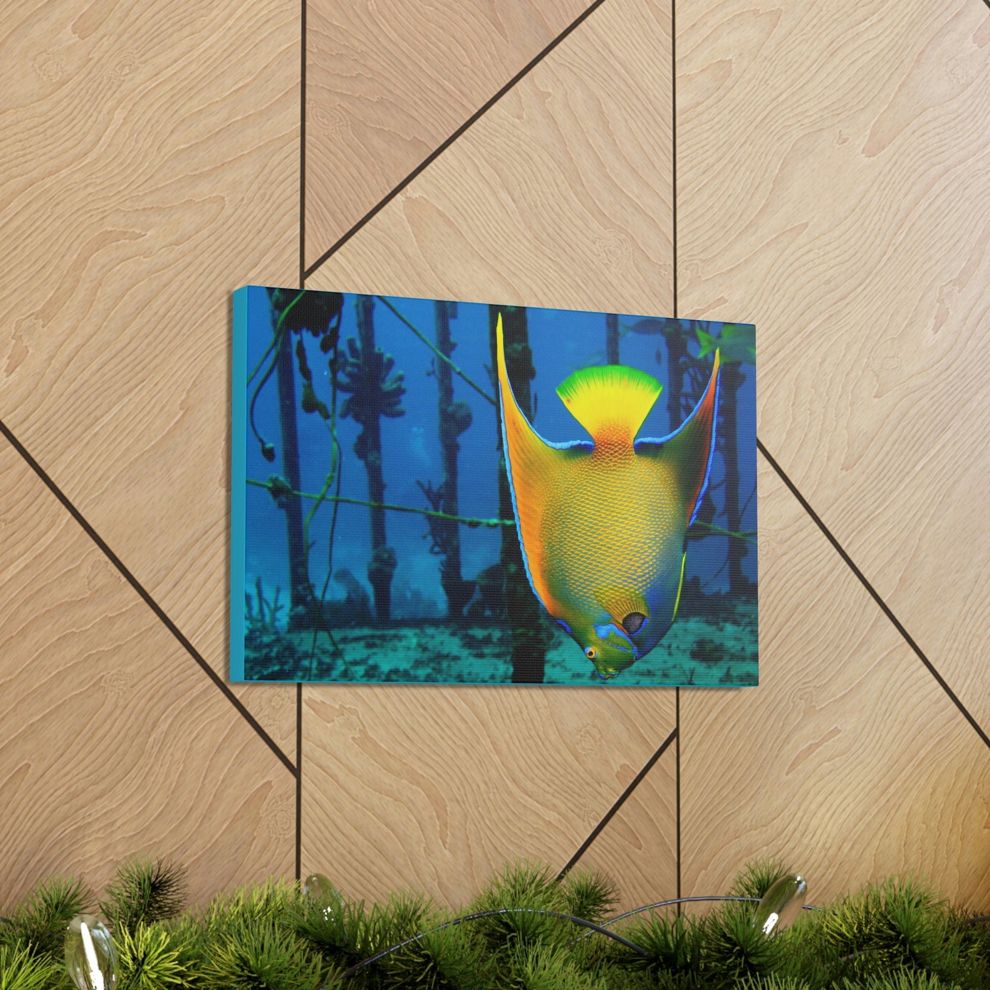 Funny Angel Fish Silly Angel Fish Outside Wall Art Ready to Hang Unframed-Express Your Love Gifts