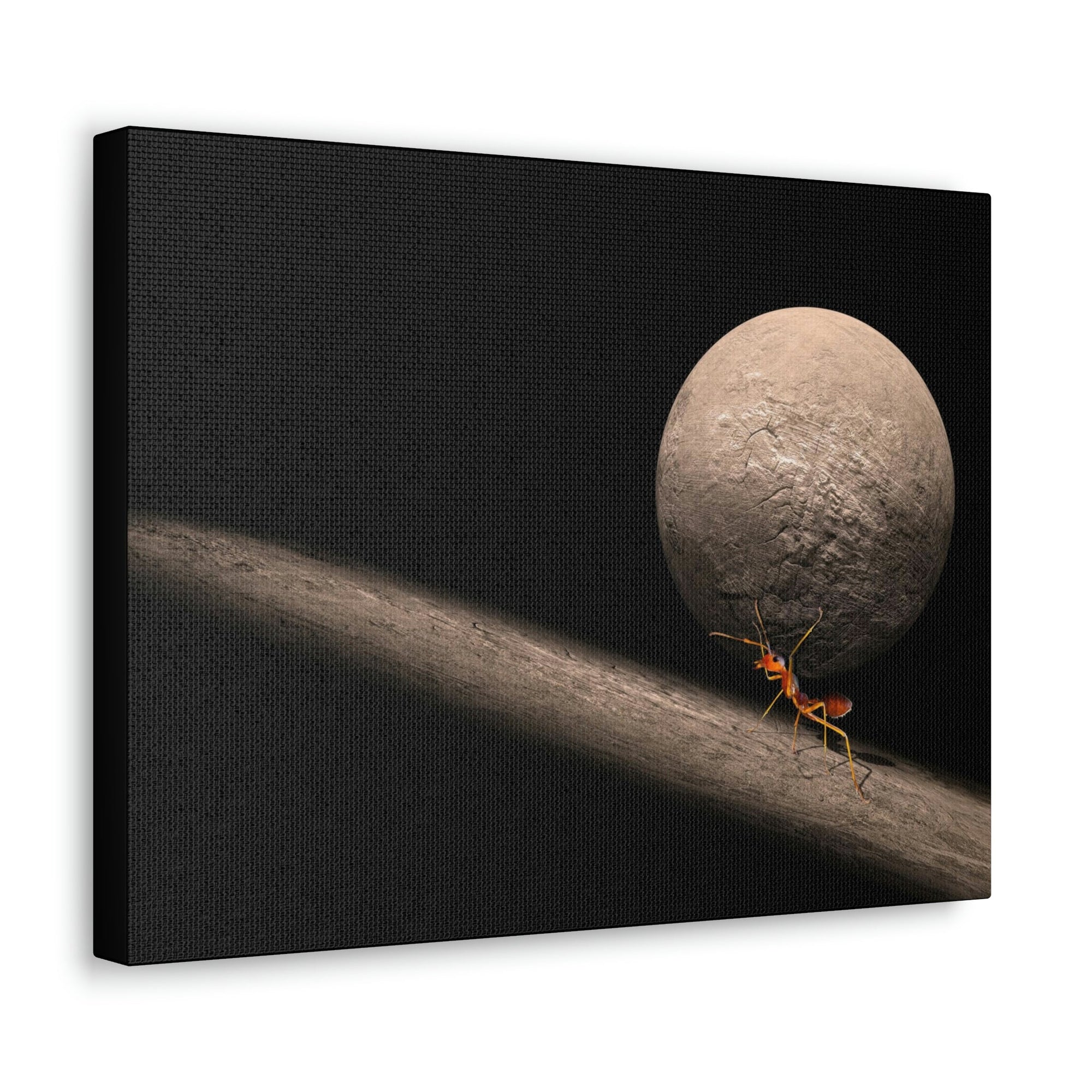 Funny Ant Silly Ant Inside Wall Art Ready to Hang Unframed-Express Your Love Gifts