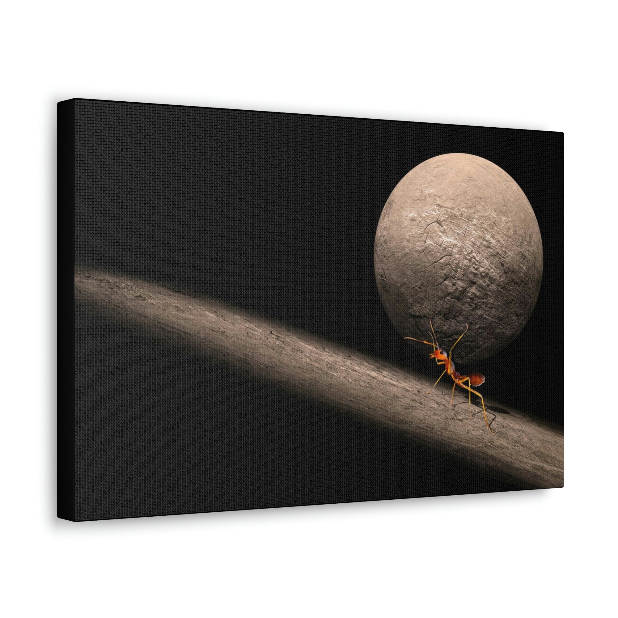 Funny Ant Silly Ant Inside Wall Art Ready to Hang Unframed-Express Your Love Gifts