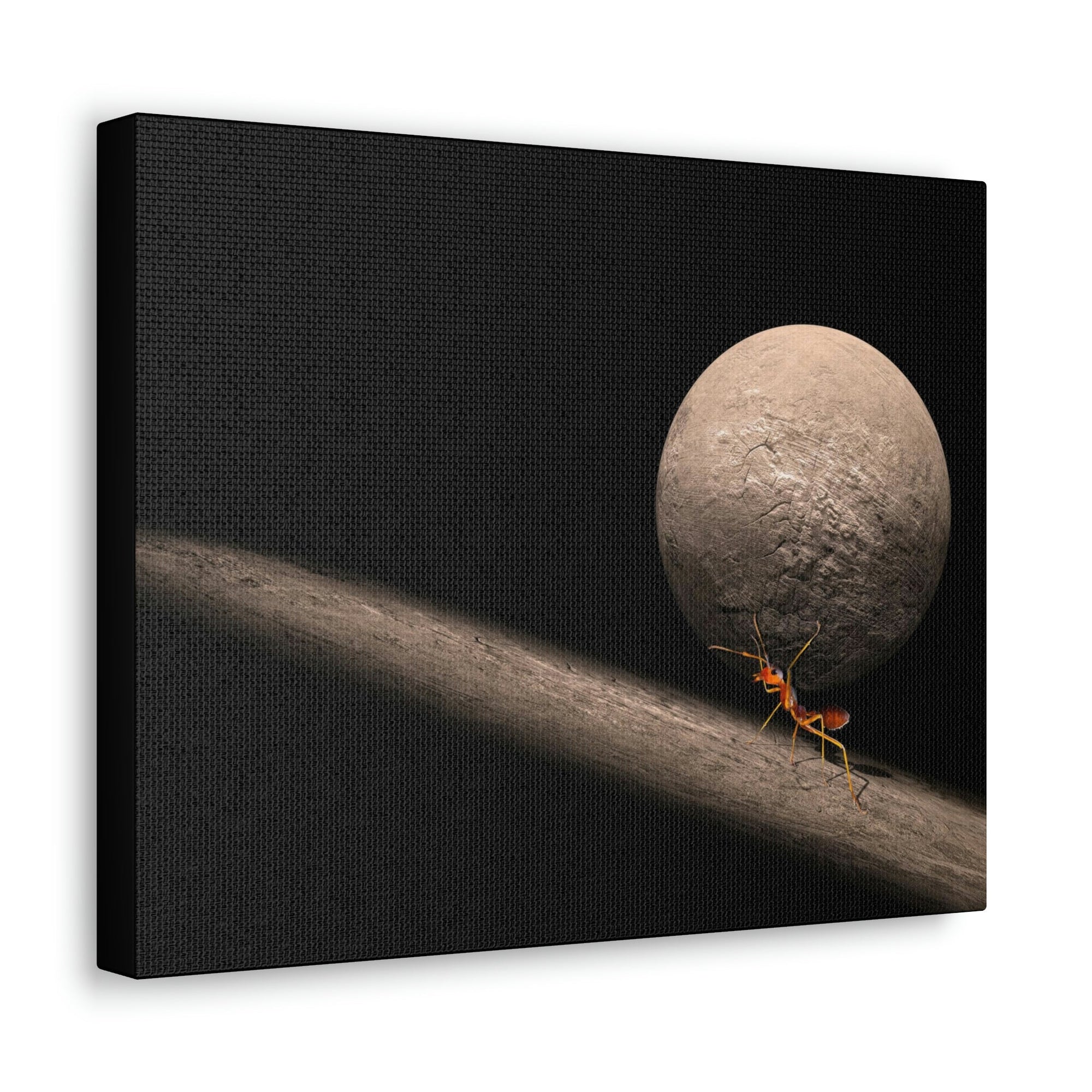 Funny Ant Silly Ant Inside Wall Art Ready to Hang Unframed-Express Your Love Gifts