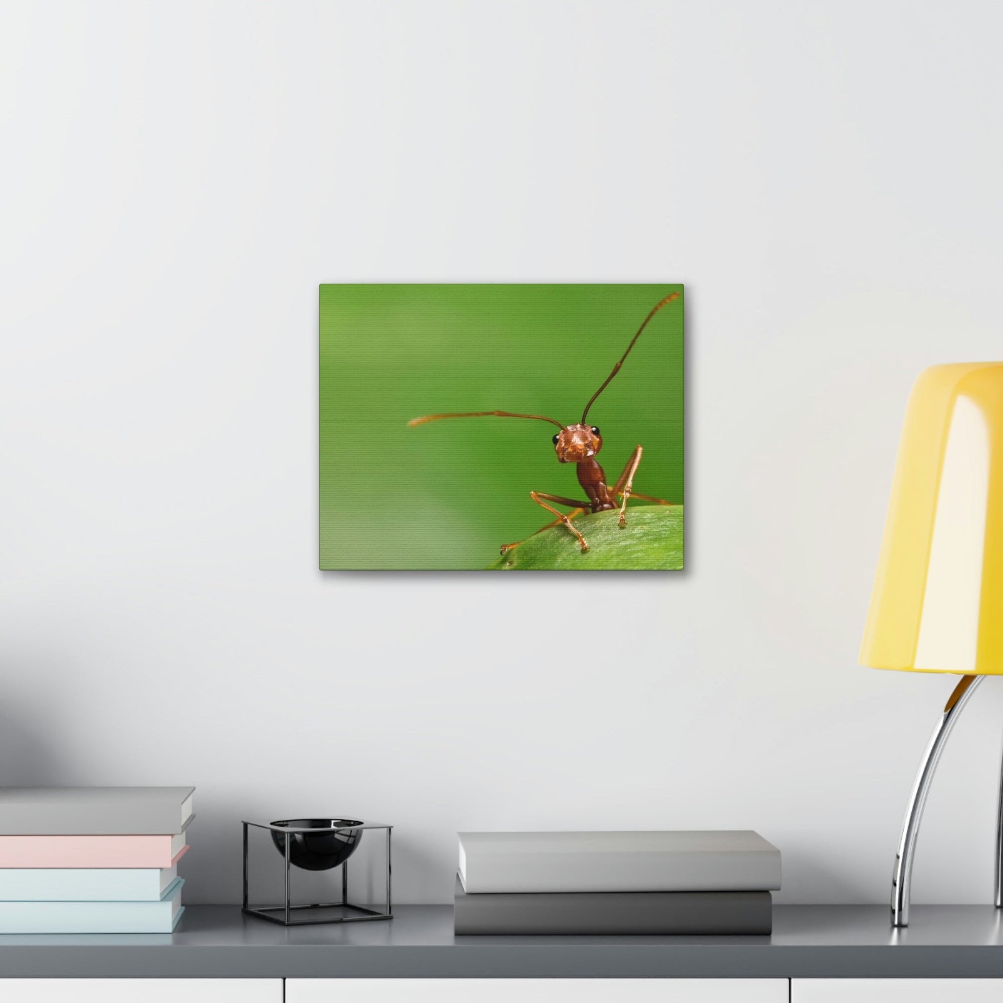 Funny Ant Silly Ant Outside Wall Art Ready to Hang Unframed-Express Your Love Gifts