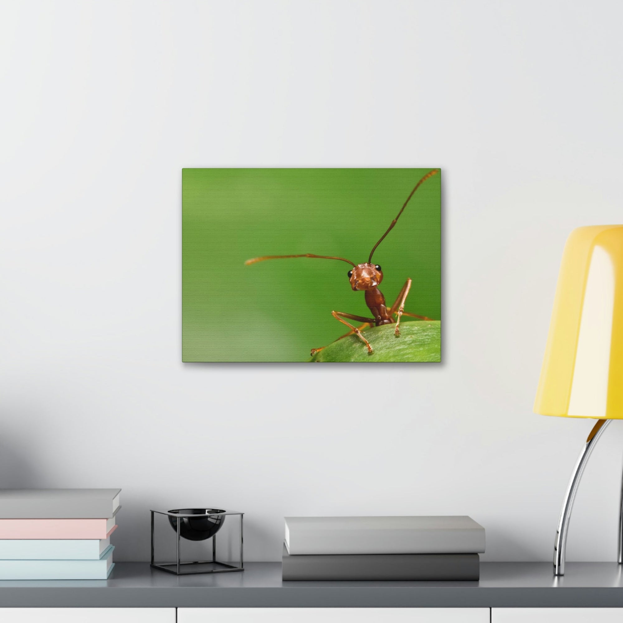 Funny Ant Silly Ant Outside Wall Art Ready to Hang Unframed-Express Your Love Gifts