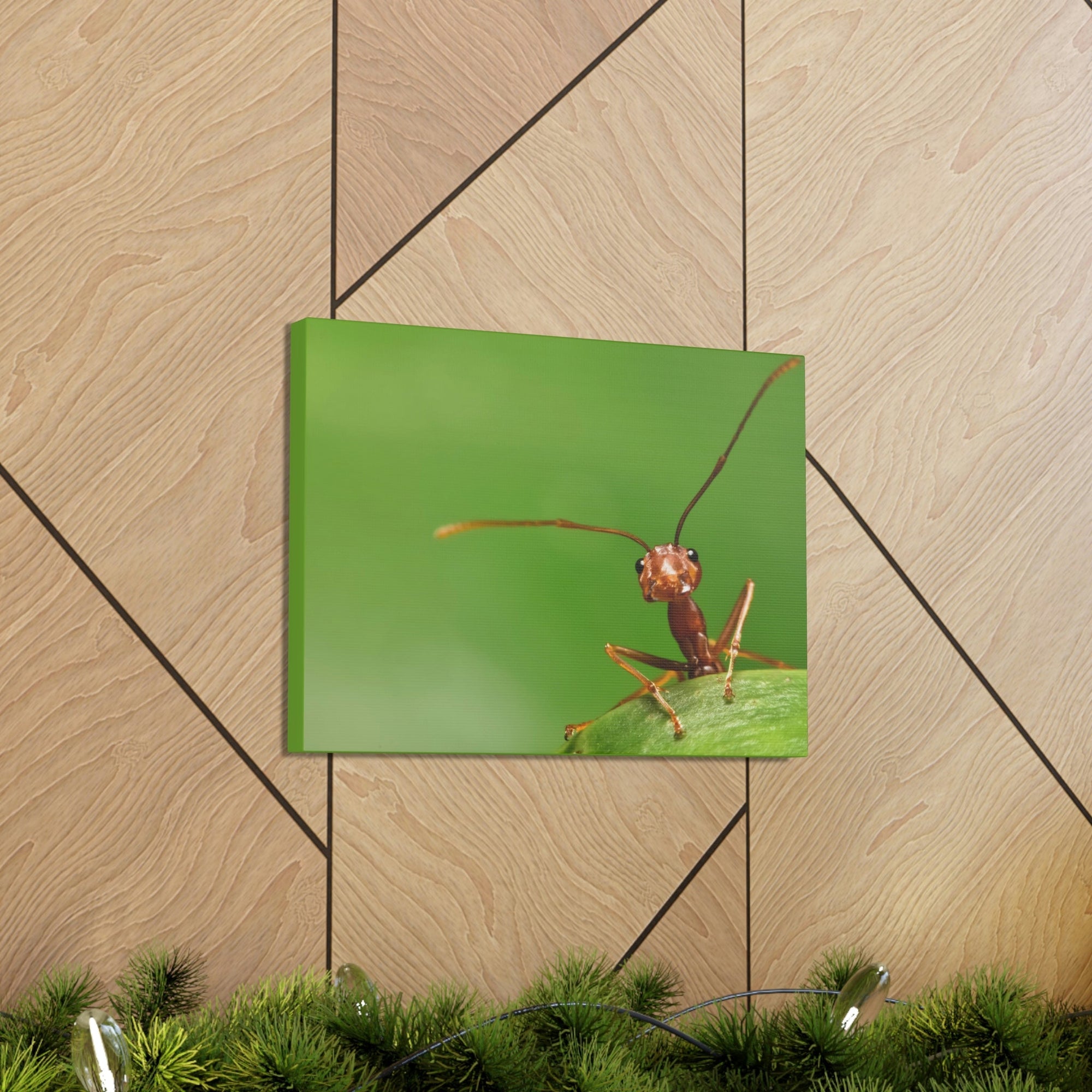 Funny Ant Silly Ant Outside Wall Art Ready to Hang Unframed-Express Your Love Gifts