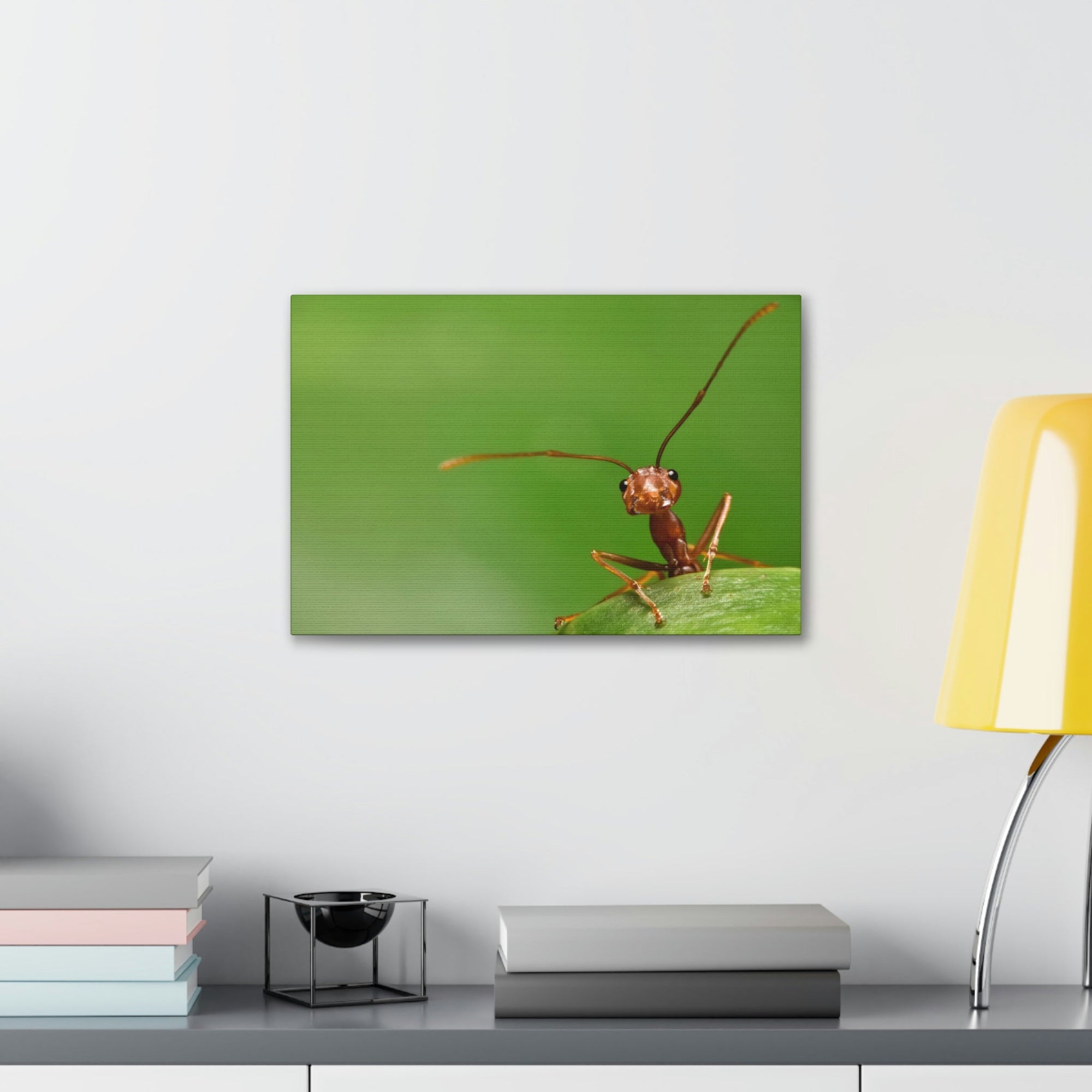 Funny Ant Silly Ant Outside Wall Art Ready to Hang Unframed-Express Your Love Gifts