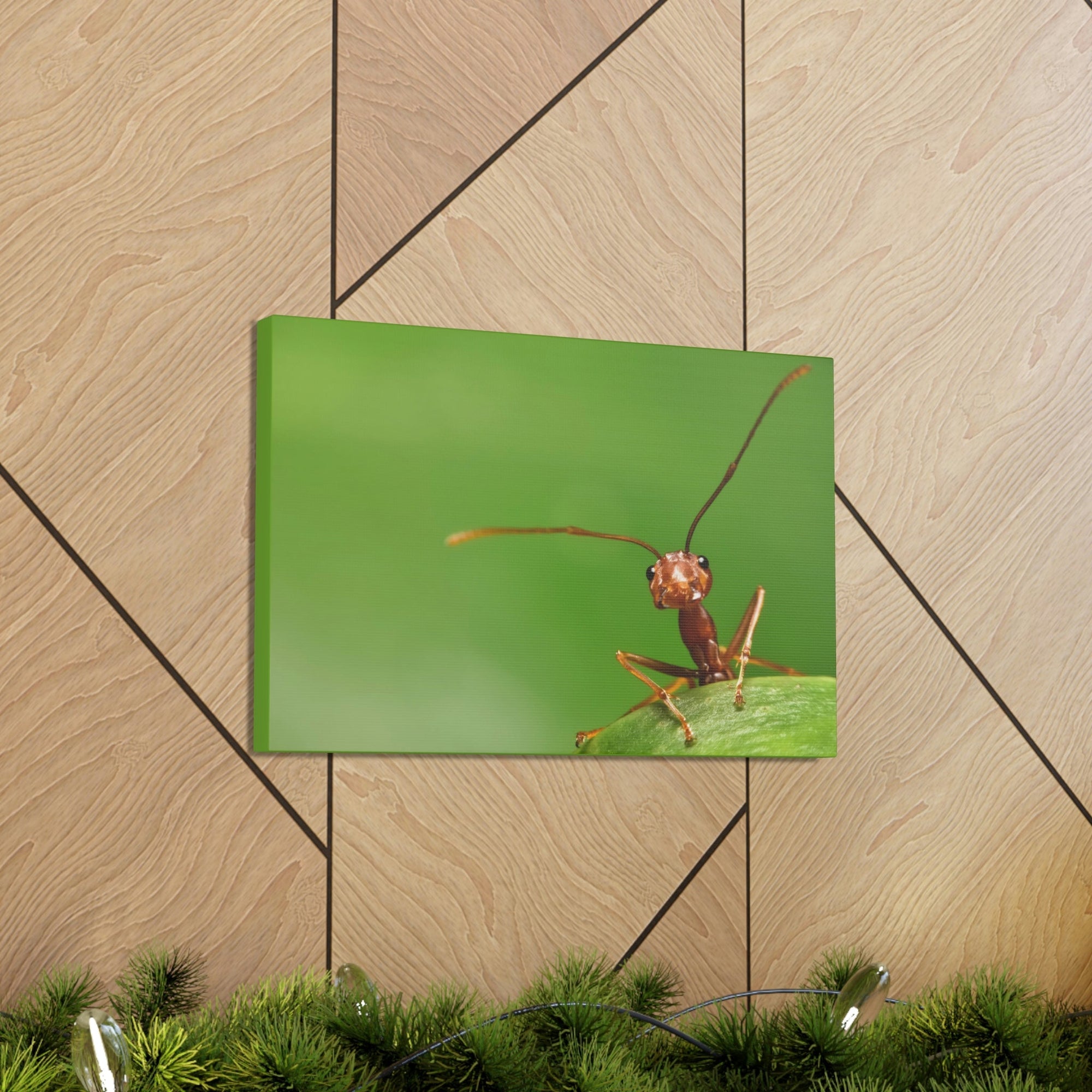 Funny Ant Silly Ant Outside Wall Art Ready to Hang Unframed-Express Your Love Gifts