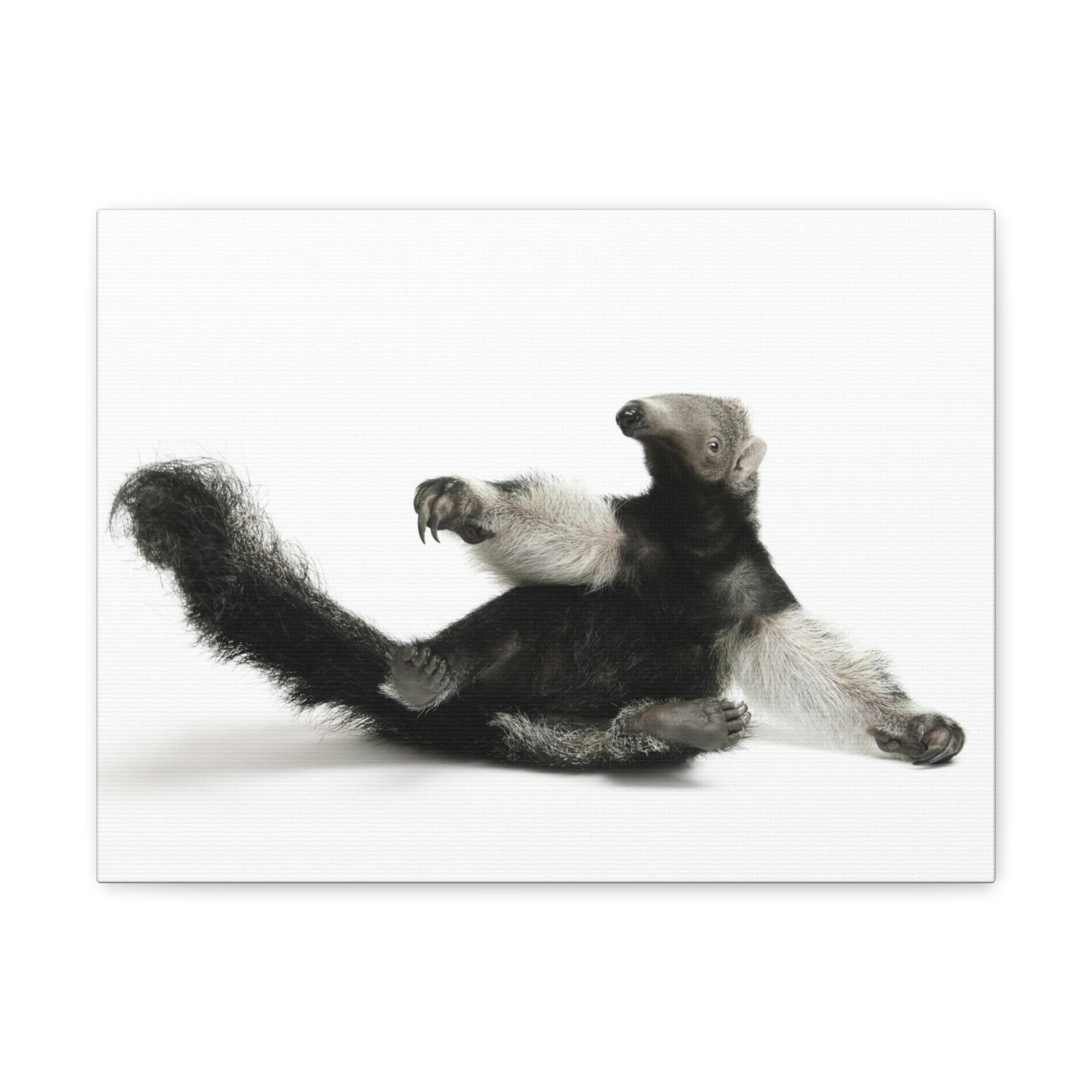 Funny Anteater Silly Anteater Inside Wall Art Ready to Hang Unframed-Express Your Love Gifts