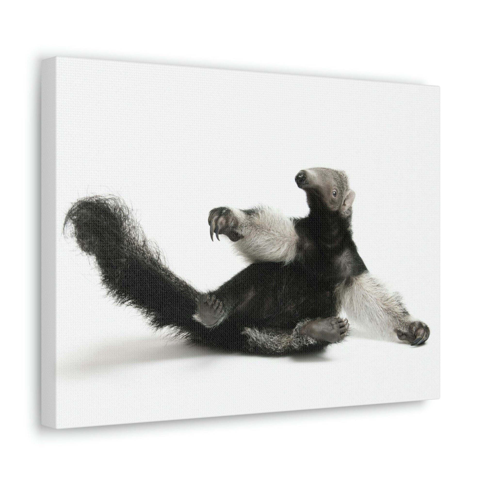 Funny Anteater Silly Anteater Inside Wall Art Ready to Hang Unframed-Express Your Love Gifts