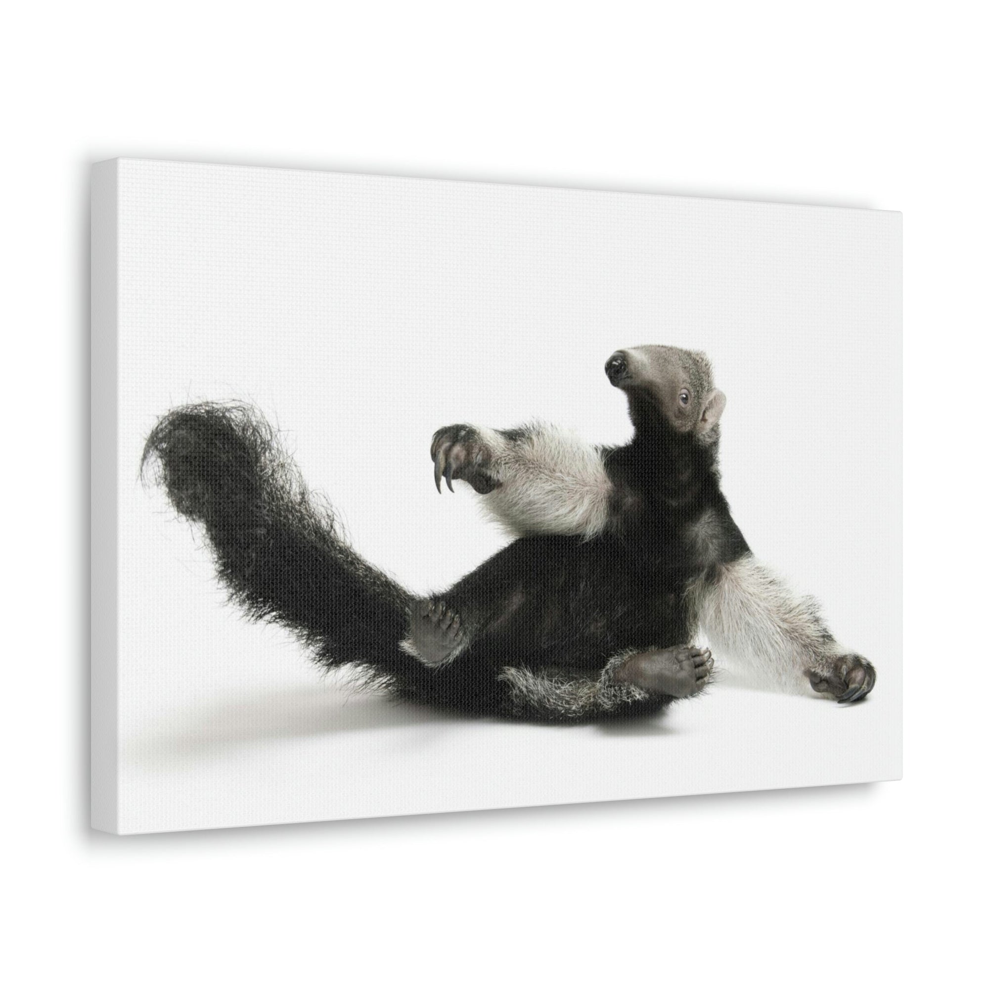 Funny Anteater Silly Anteater Inside Wall Art Ready to Hang Unframed-Express Your Love Gifts