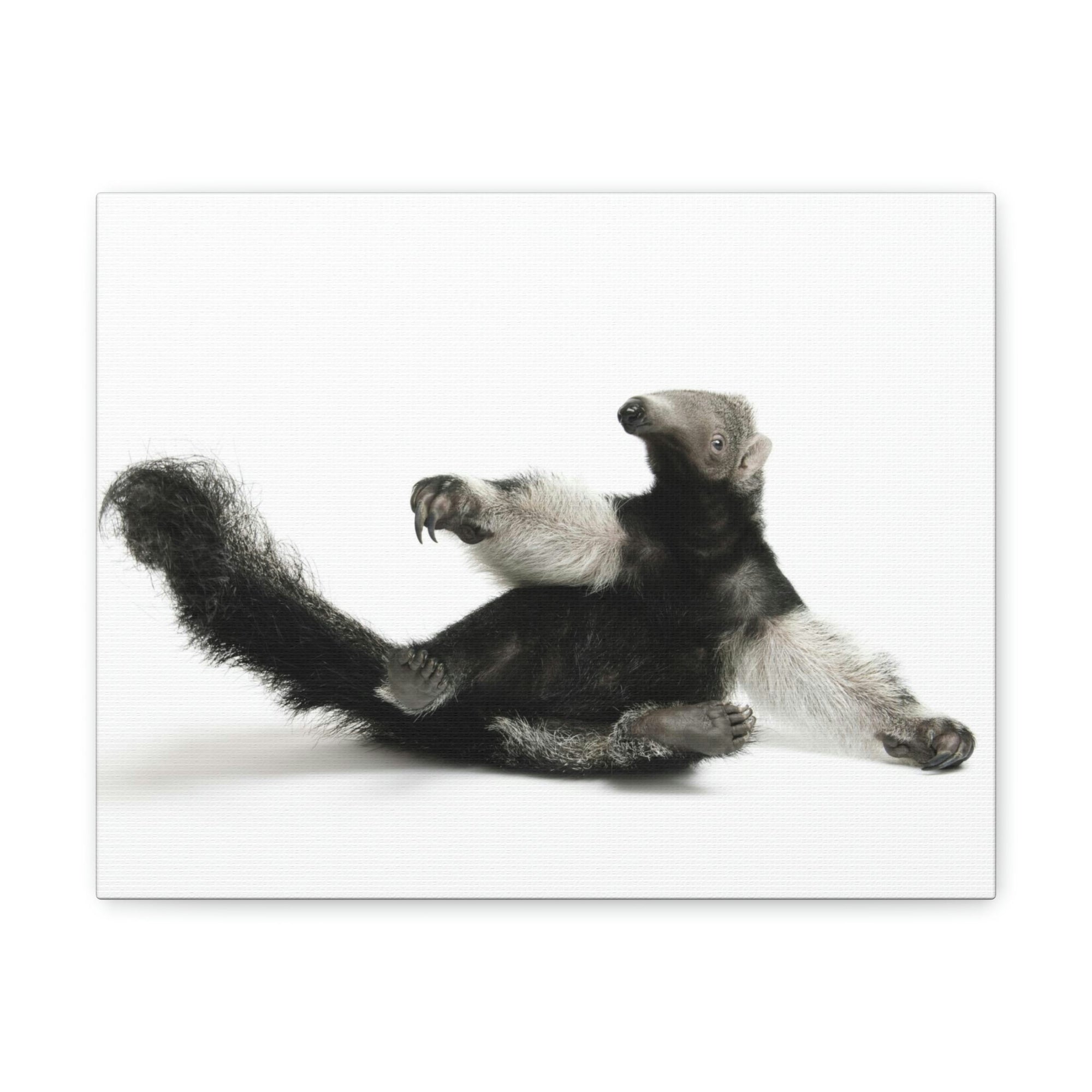 Funny Anteater Silly Anteater Inside Wall Art Ready to Hang Unframed-Express Your Love Gifts