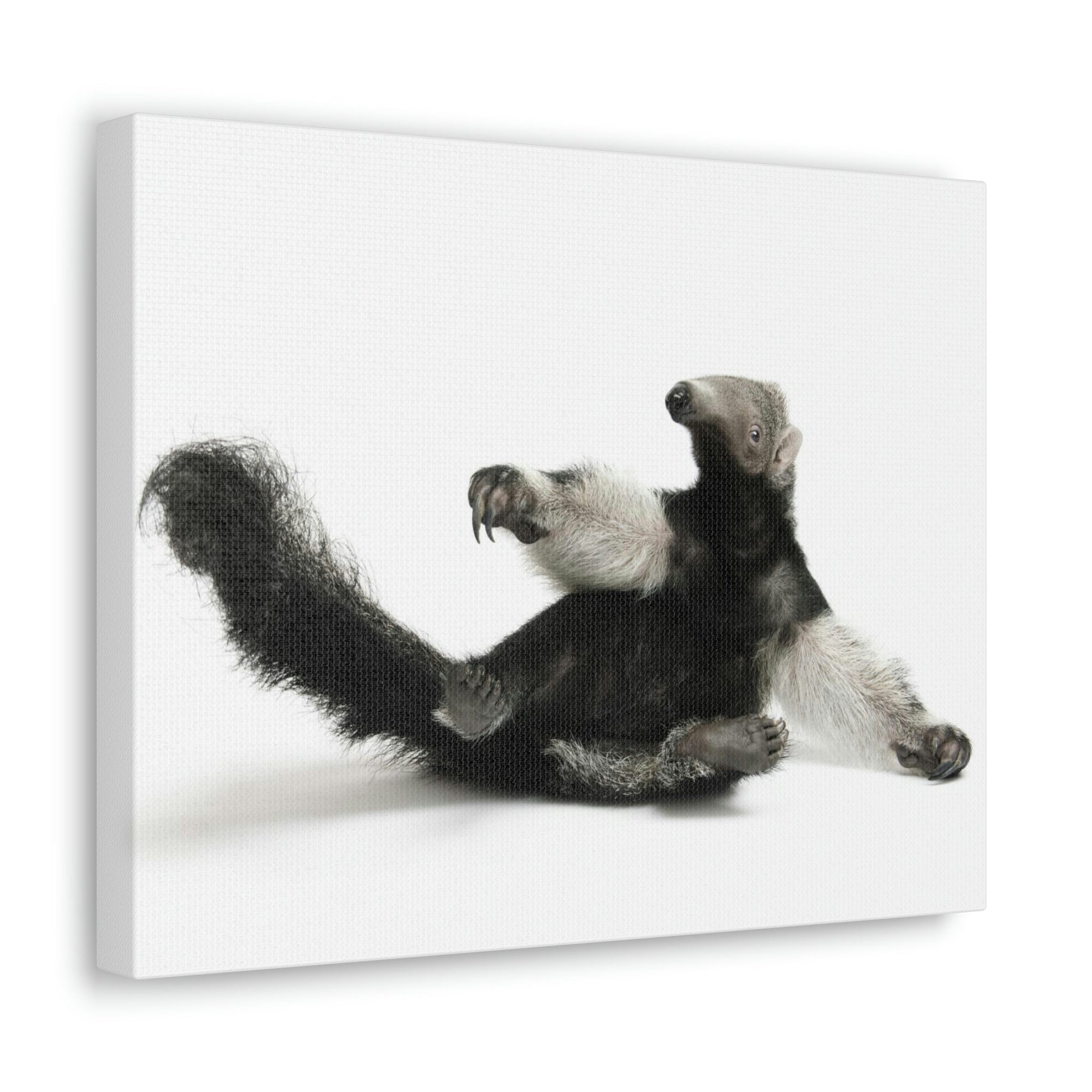 Funny Anteater Silly Anteater Inside Wall Art Ready to Hang Unframed-Express Your Love Gifts