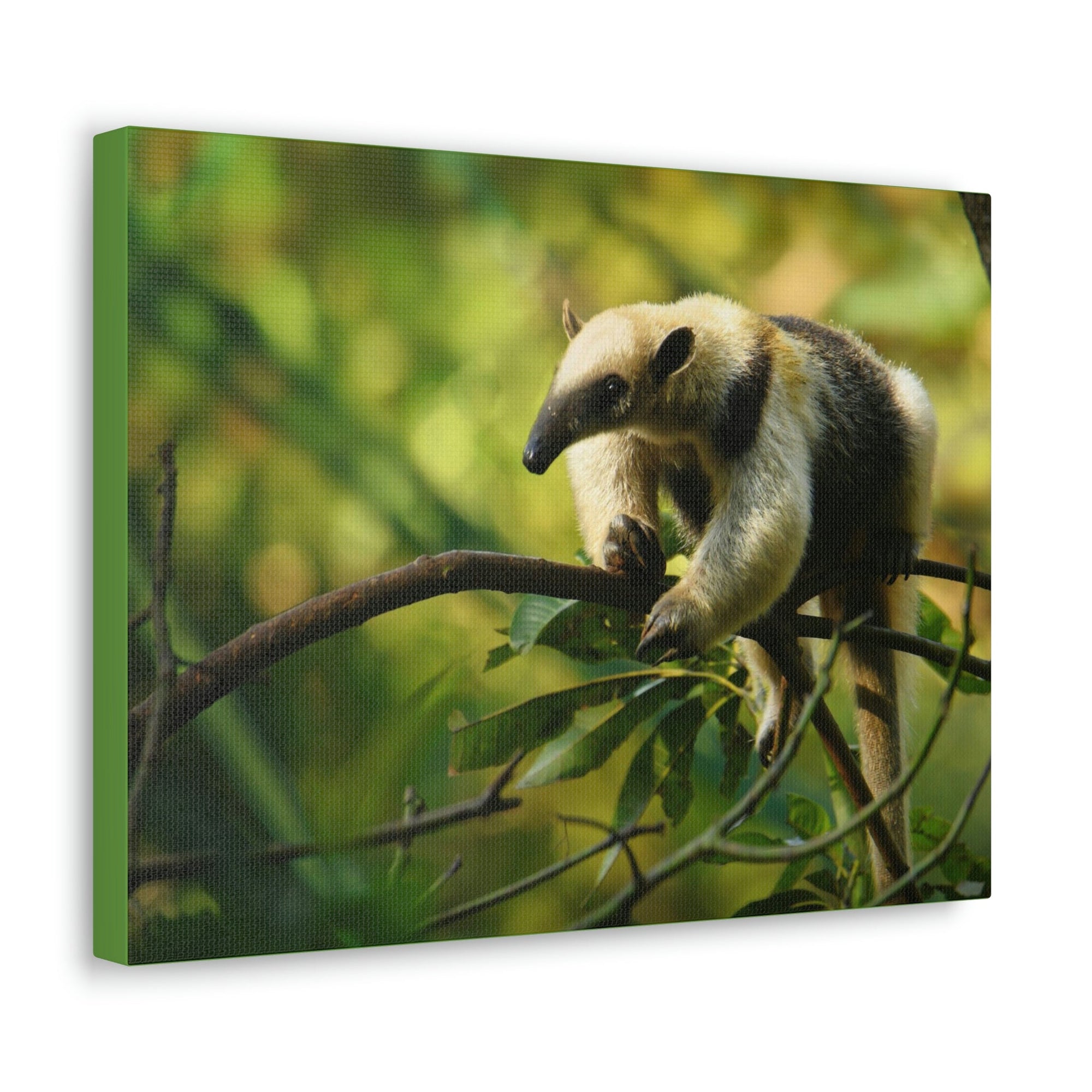 Funny Anteater Silly Anteater Outside Wall Art Ready to Hang Unframed-Express Your Love Gifts