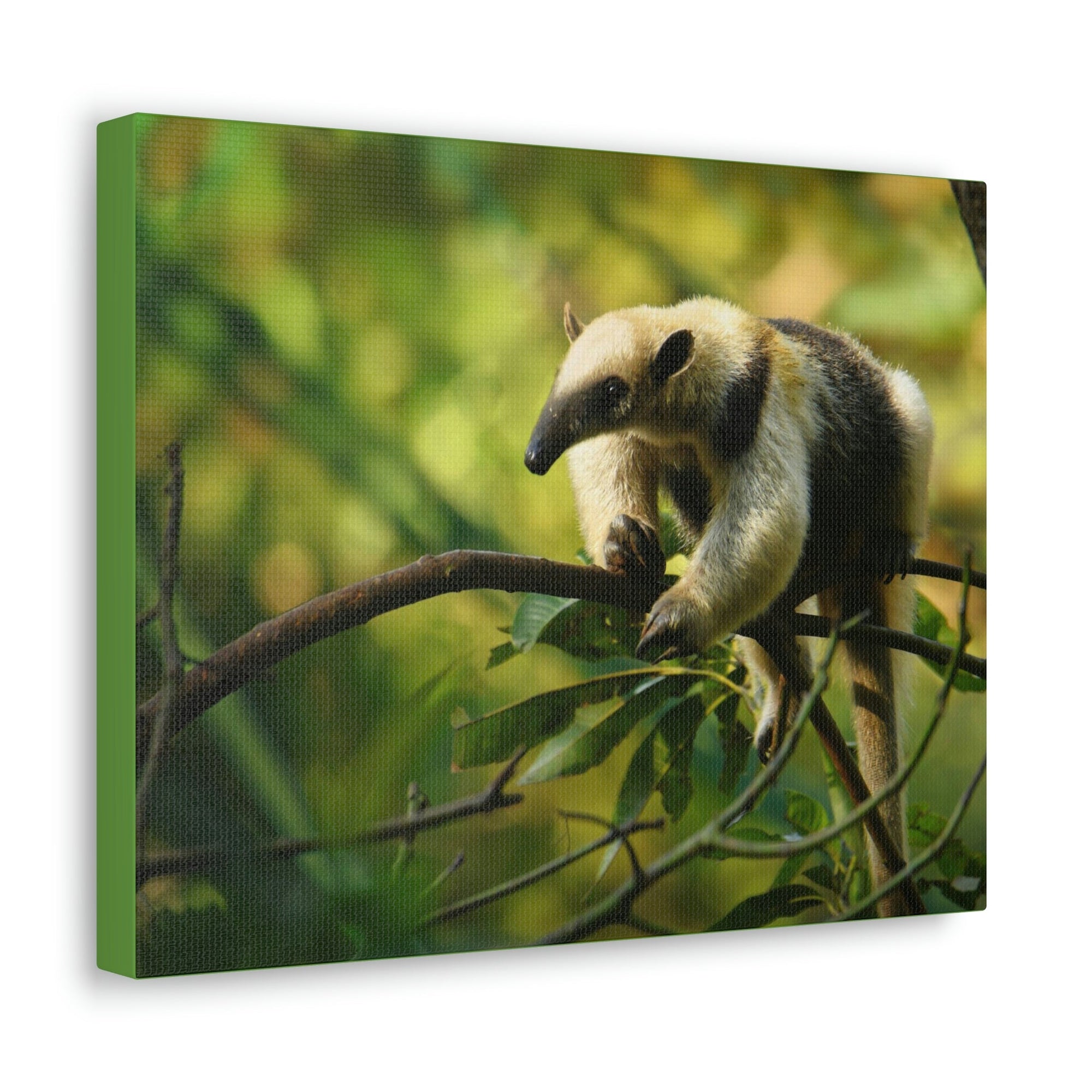 Funny Anteater Silly Anteater Outside Wall Art Ready to Hang Unframed-Express Your Love Gifts