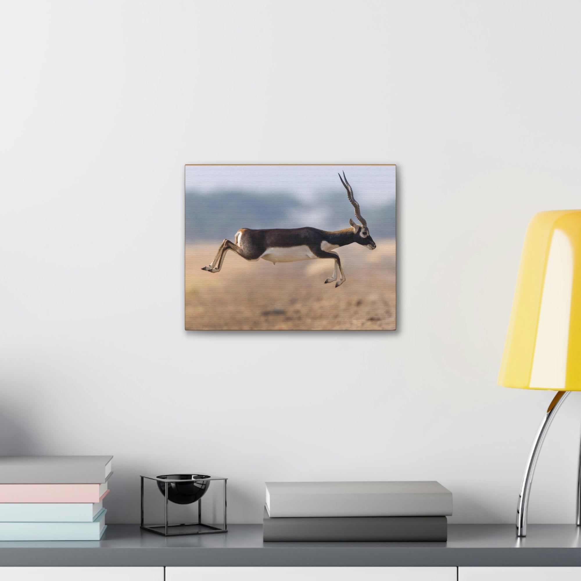 Funny Antelope Silly Antelope Outside Wall Art Ready to Hang Unframed-Express Your Love Gifts