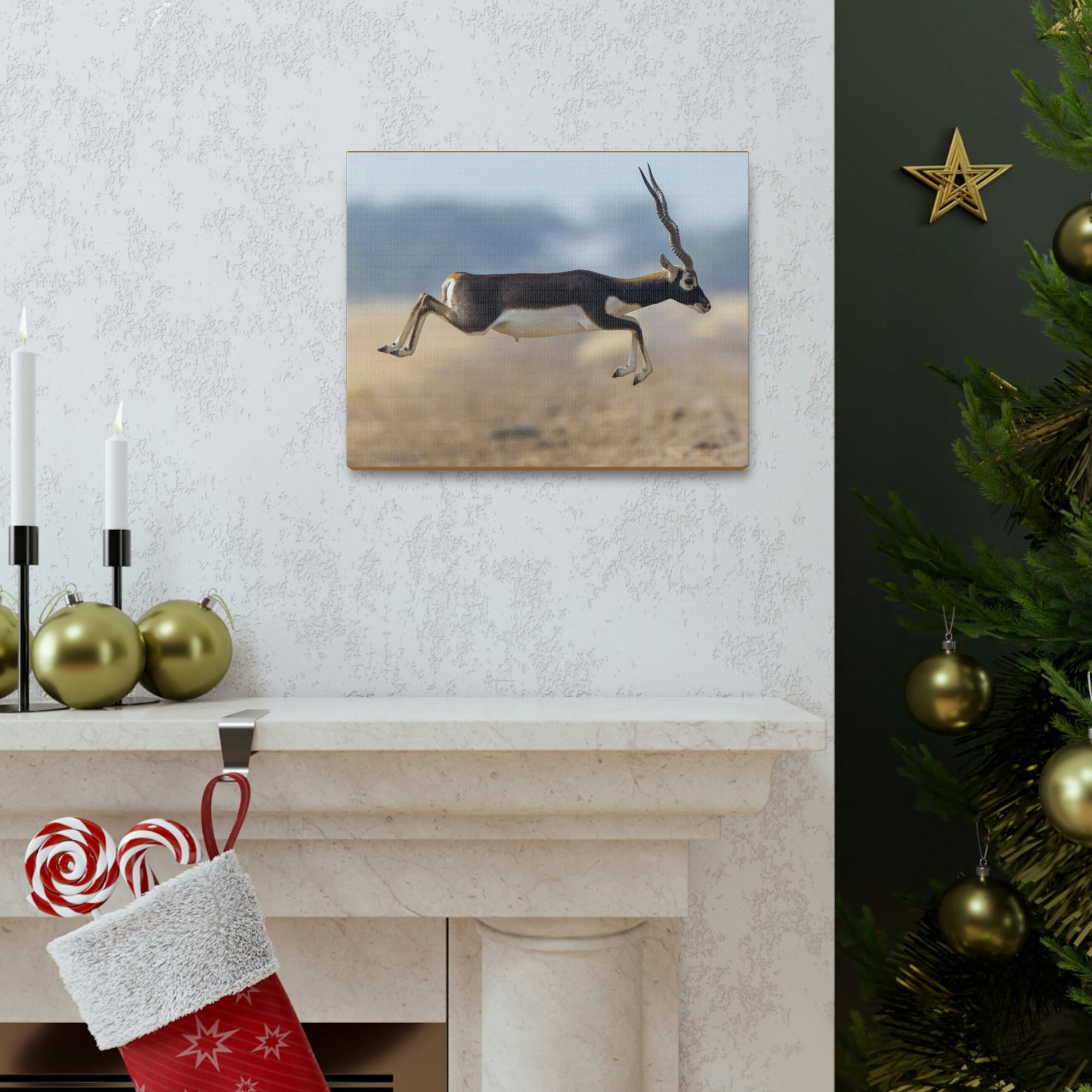 Funny Antelope Silly Antelope Outside Wall Art Ready to Hang Unframed-Express Your Love Gifts