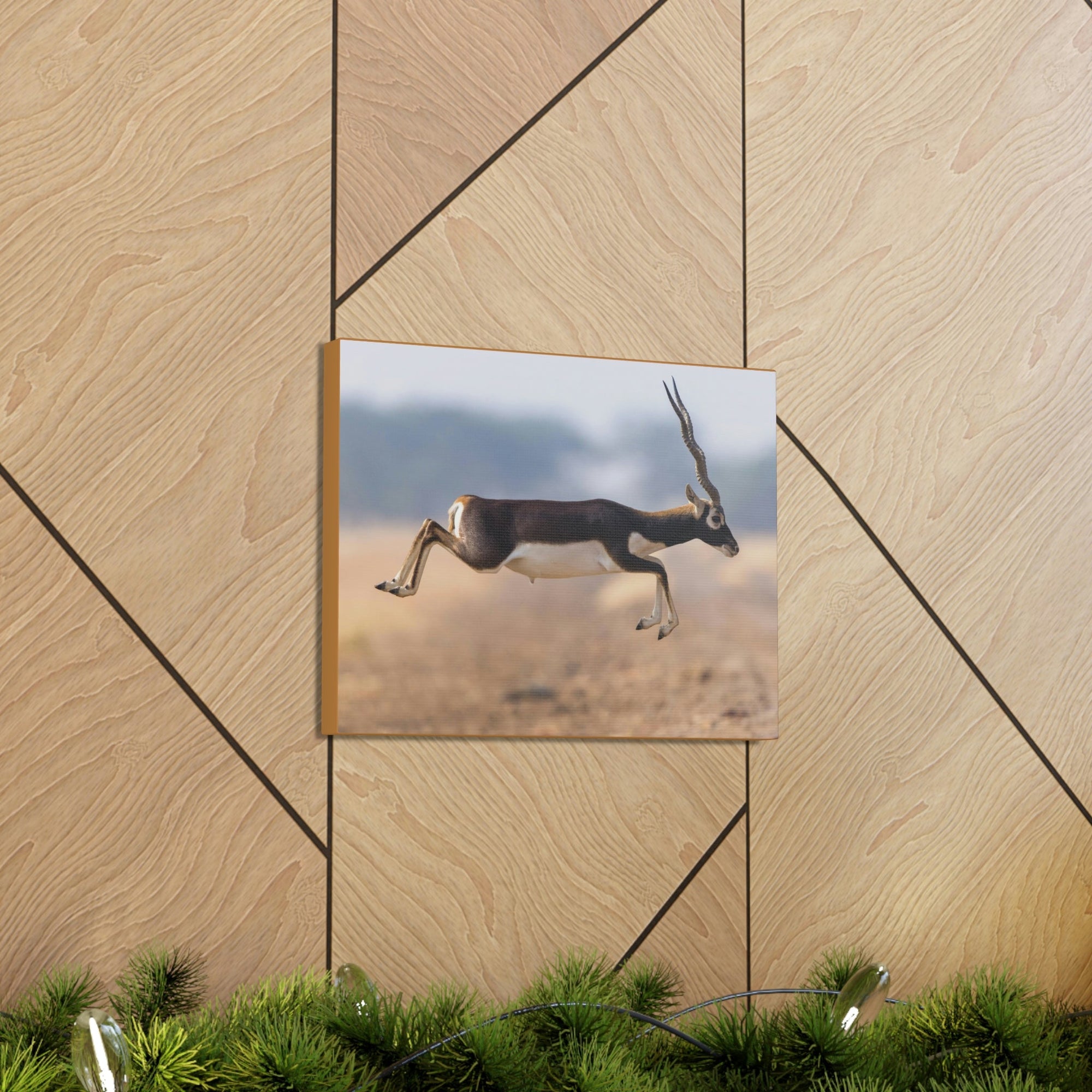 Funny Antelope Silly Antelope Outside Wall Art Ready to Hang Unframed-Express Your Love Gifts