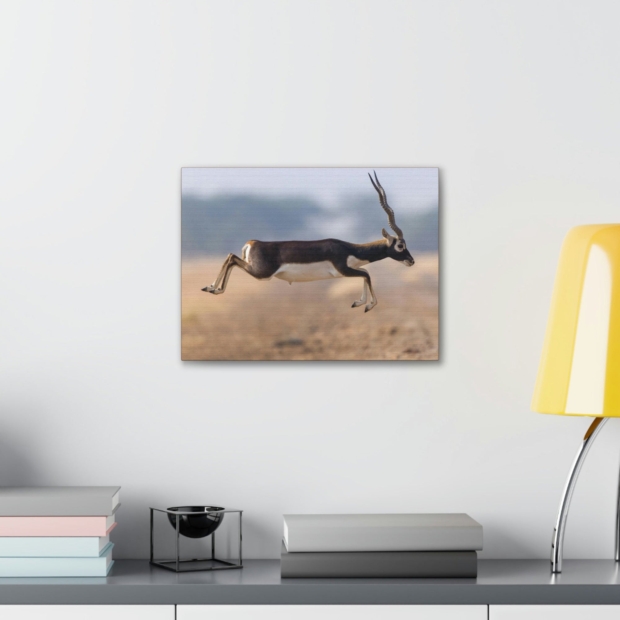 Funny Antelope Silly Antelope Outside Wall Art Ready to Hang Unframed-Express Your Love Gifts