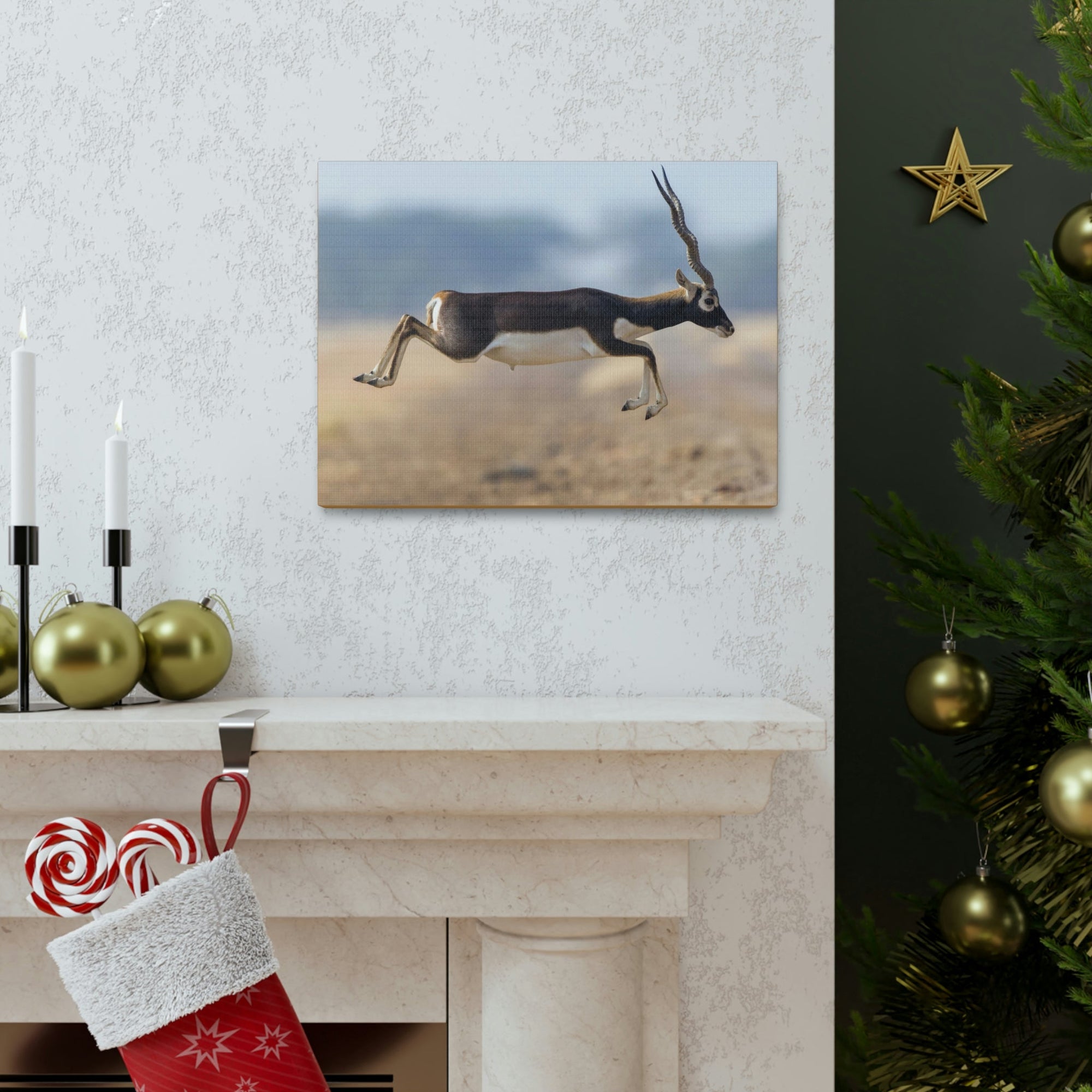 Funny Antelope Silly Antelope Outside Wall Art Ready to Hang Unframed-Express Your Love Gifts