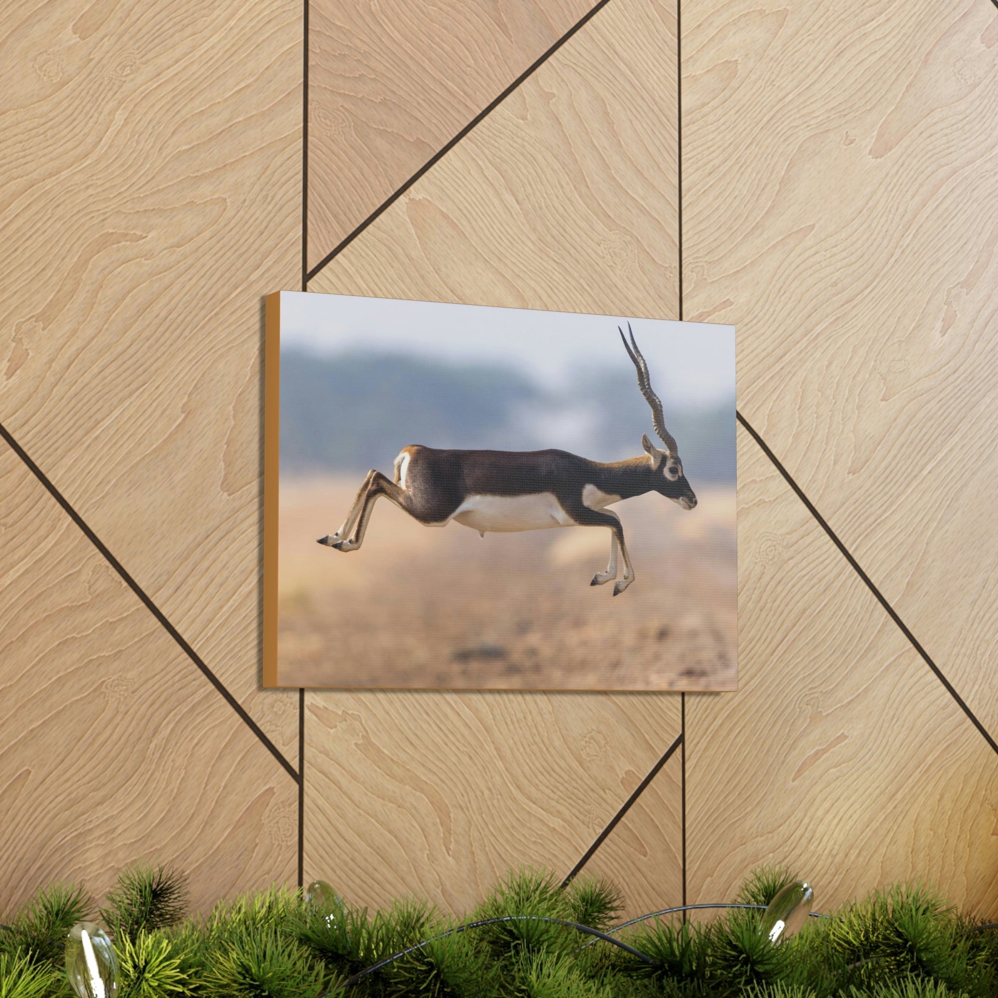 Funny Antelope Silly Antelope Outside Wall Art Ready to Hang Unframed-Express Your Love Gifts