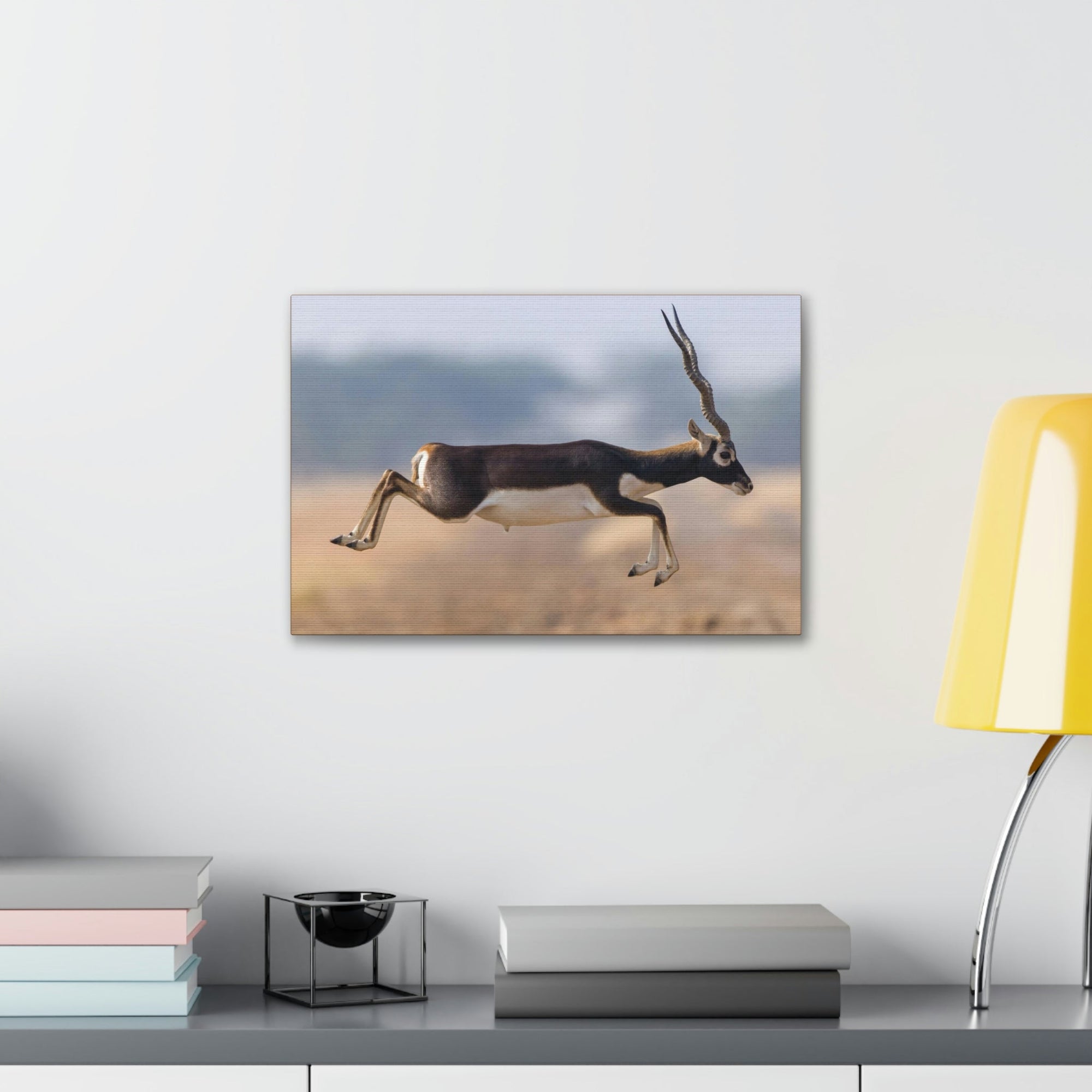 Funny Antelope Silly Antelope Outside Wall Art Ready to Hang Unframed-Express Your Love Gifts