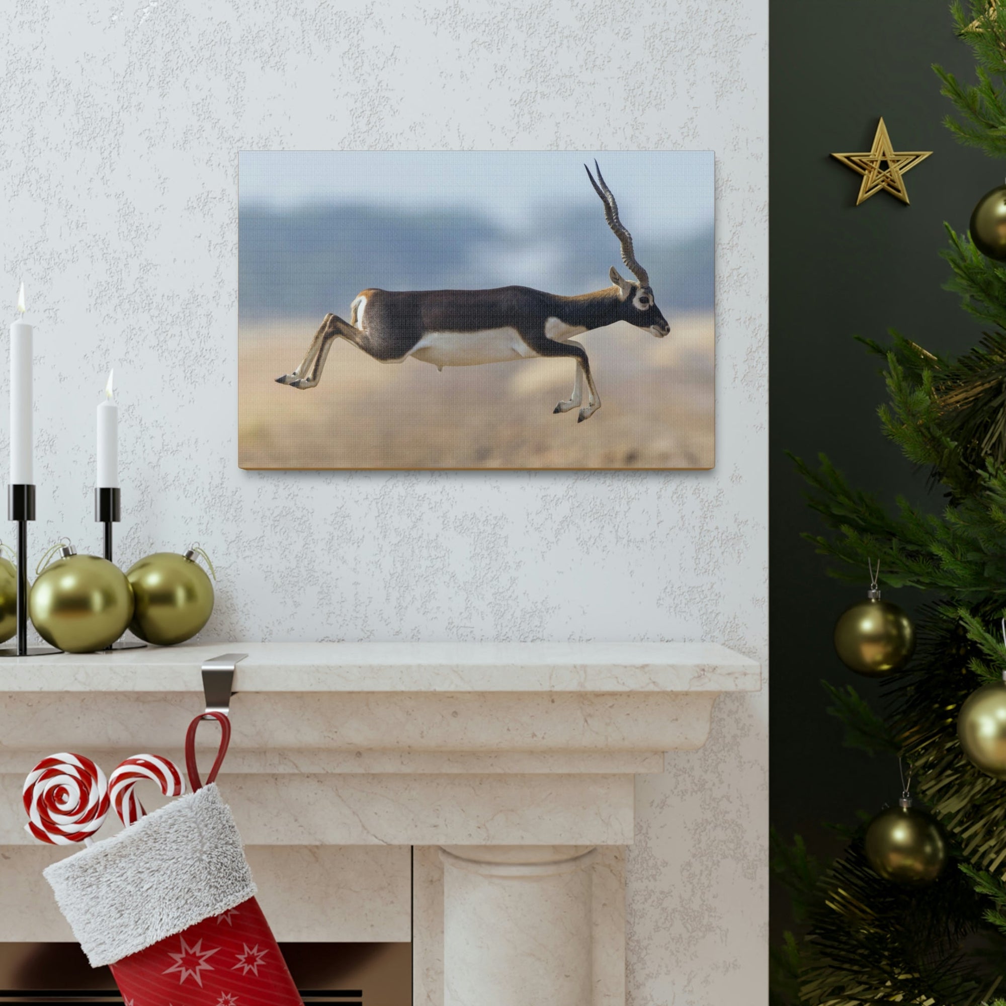 Funny Antelope Silly Antelope Outside Wall Art Ready to Hang Unframed-Express Your Love Gifts