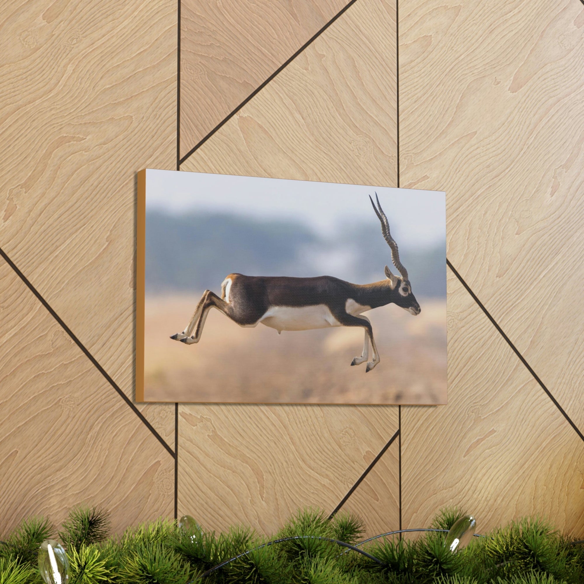 Funny Antelope Silly Antelope Outside Wall Art Ready to Hang Unframed-Express Your Love Gifts