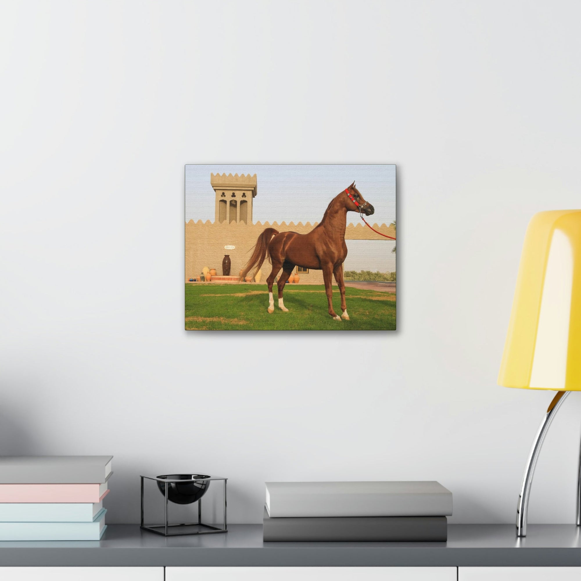 Funny Arab Horse Indoor Wall Art Ready to Hang Unframed-Express Your Love Gifts