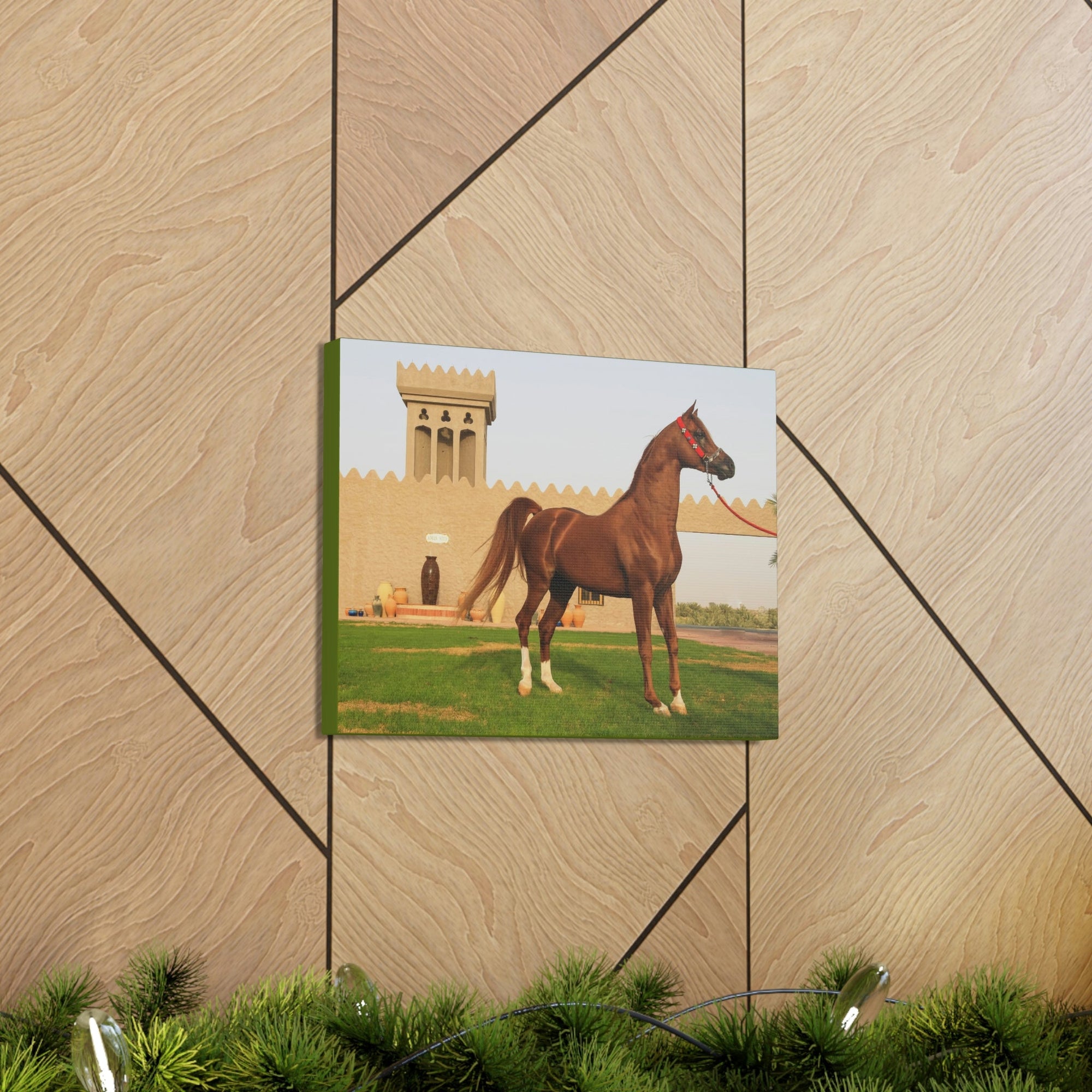 Funny Arab Horse Indoor Wall Art Ready to Hang Unframed-Express Your Love Gifts